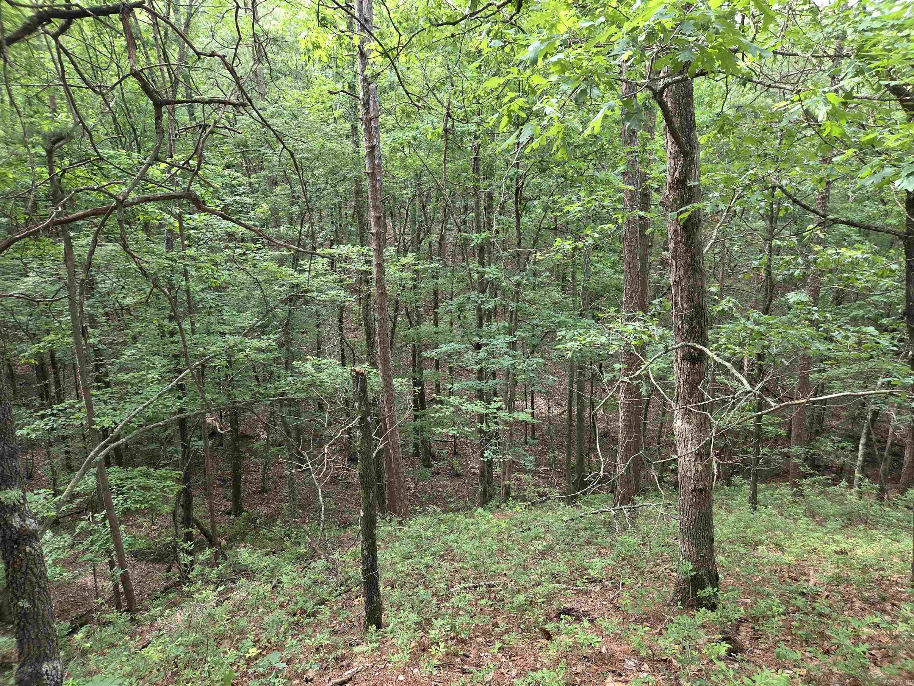 301  Chaparral Lane  Mena, AR