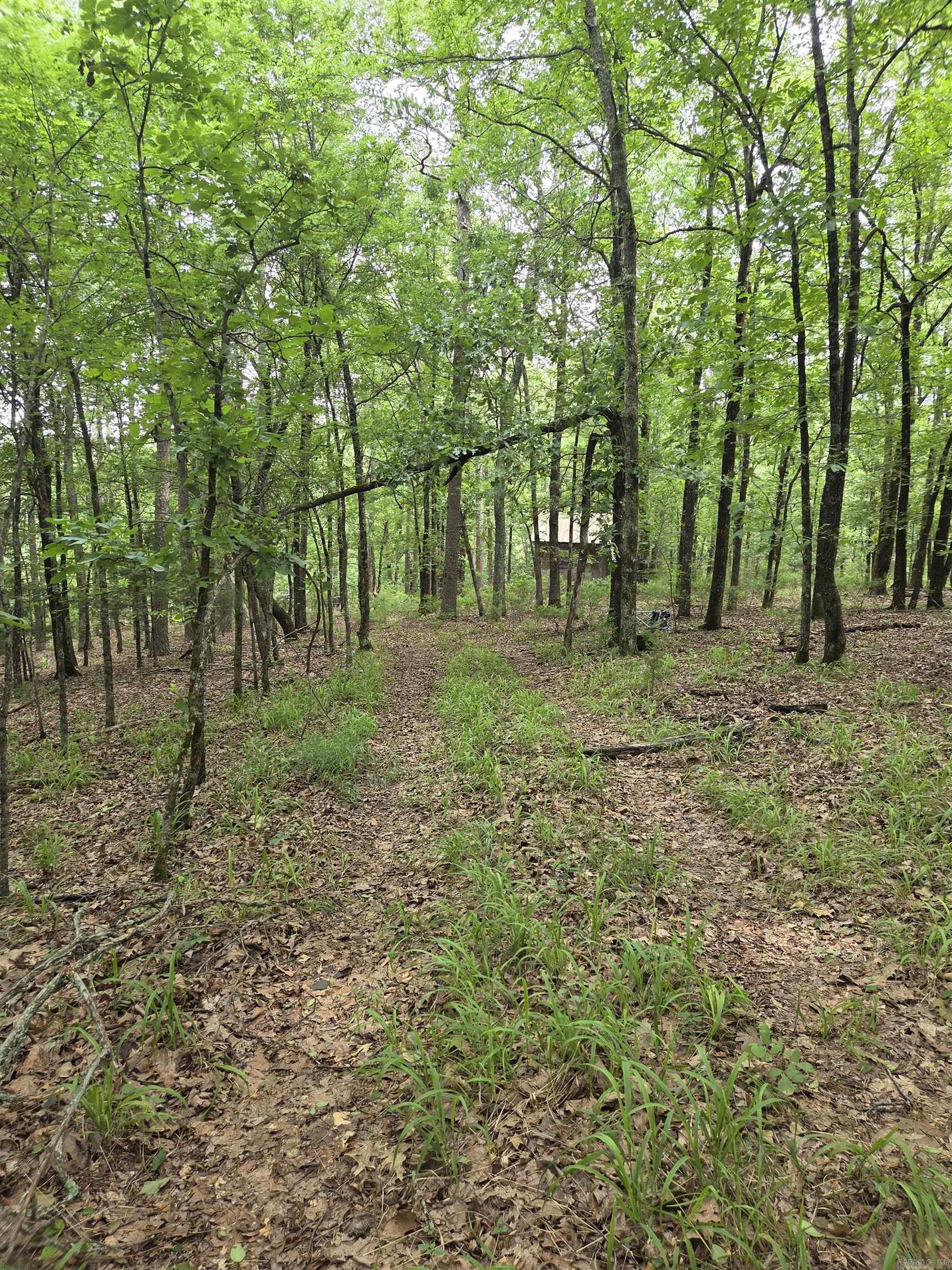 301  Chaparral Lane  Mena, AR