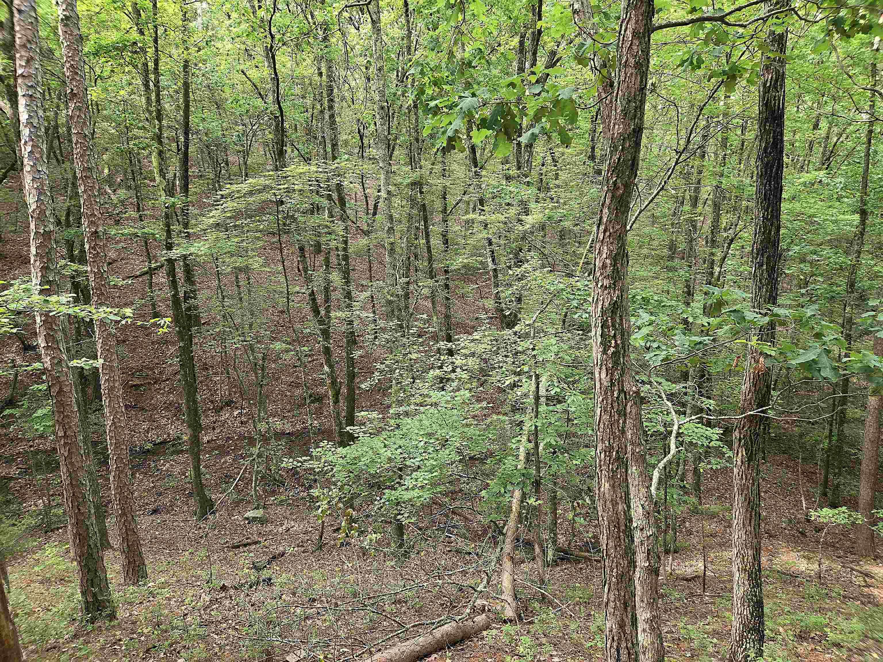 301  Chaparral Lane  Mena, AR