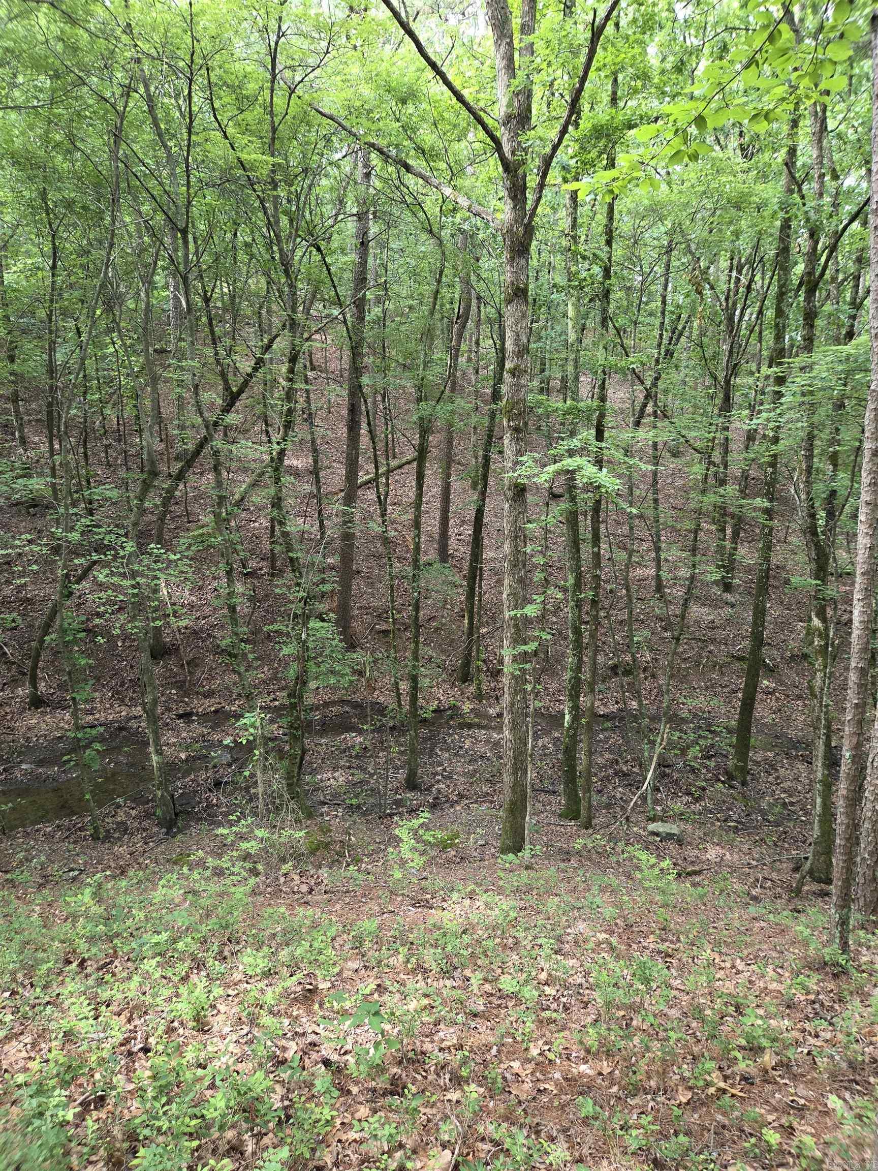 301  Chaparral Lane  Mena, AR