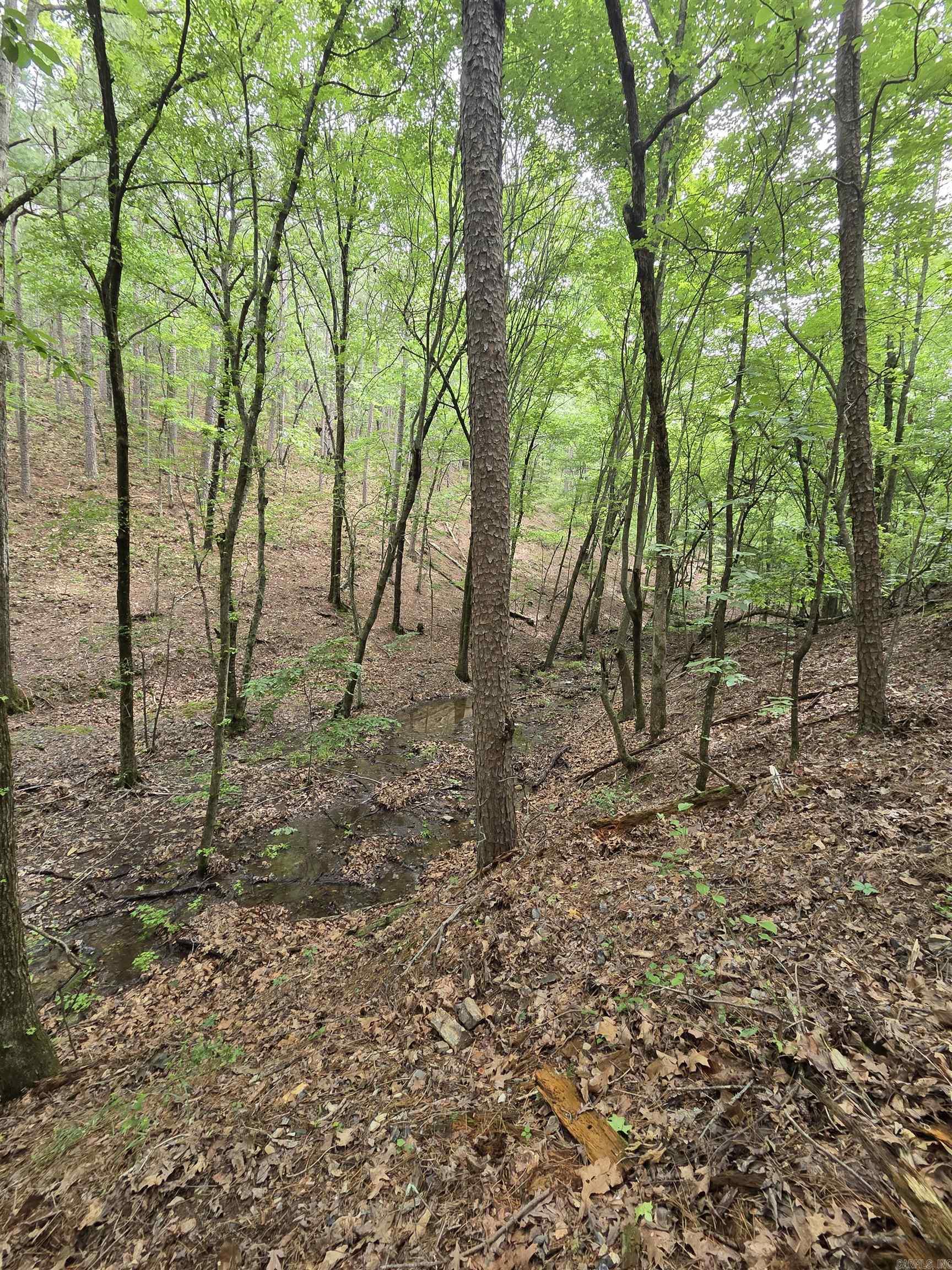 301  Chaparral Lane  Mena, AR