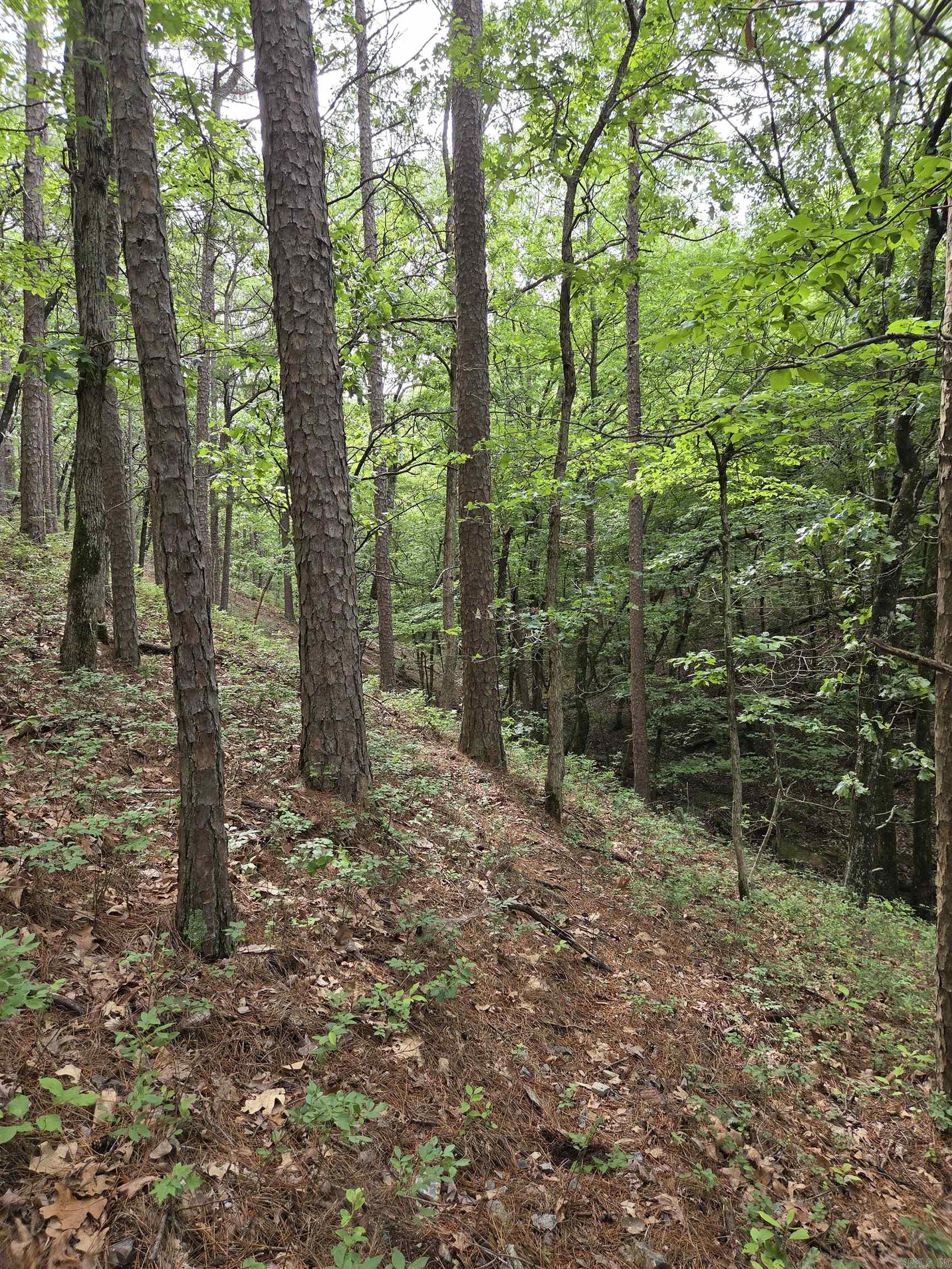 301  Chaparral Lane  Mena, AR