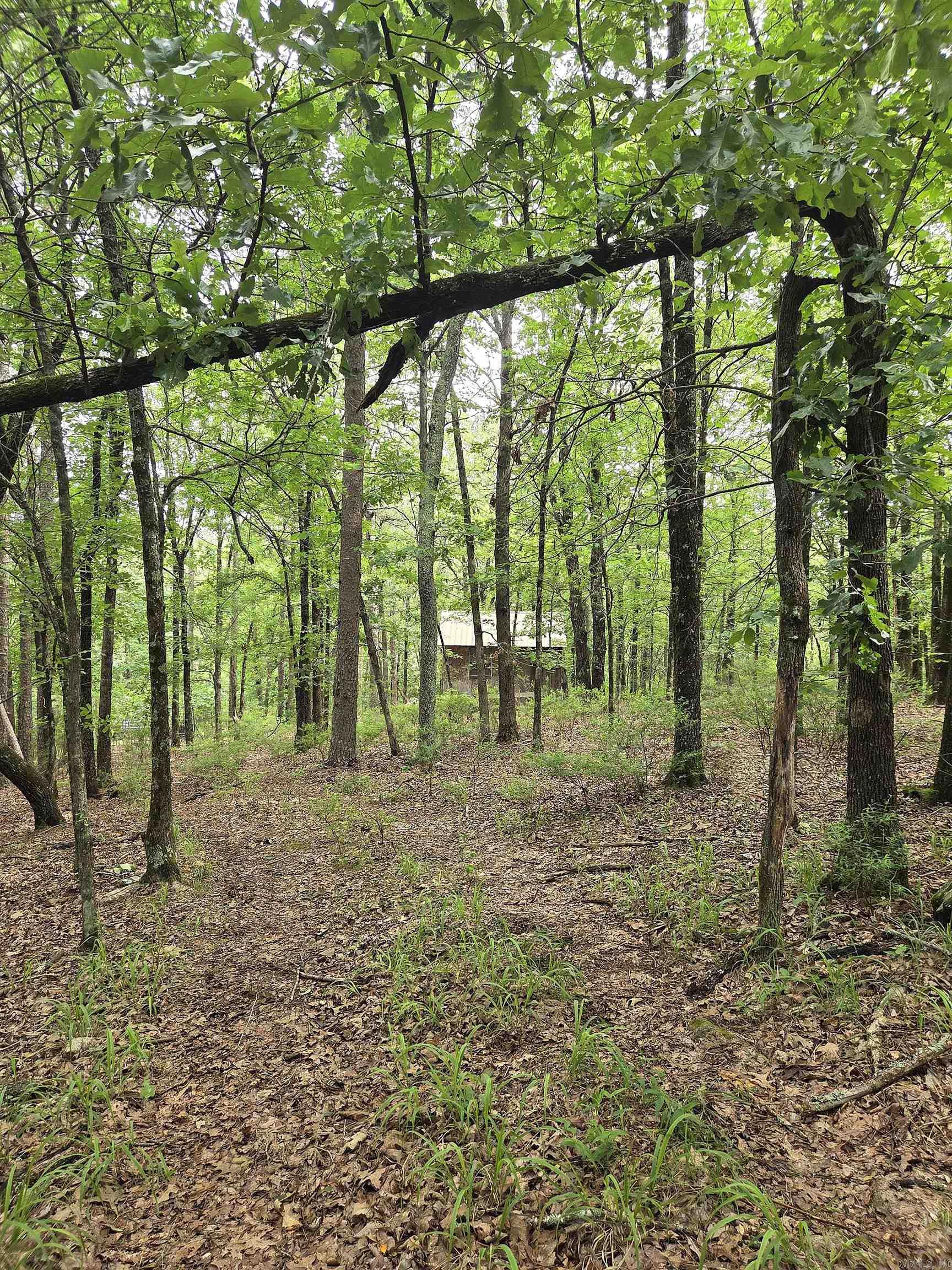 301  Chaparral Lane  Mena, AR