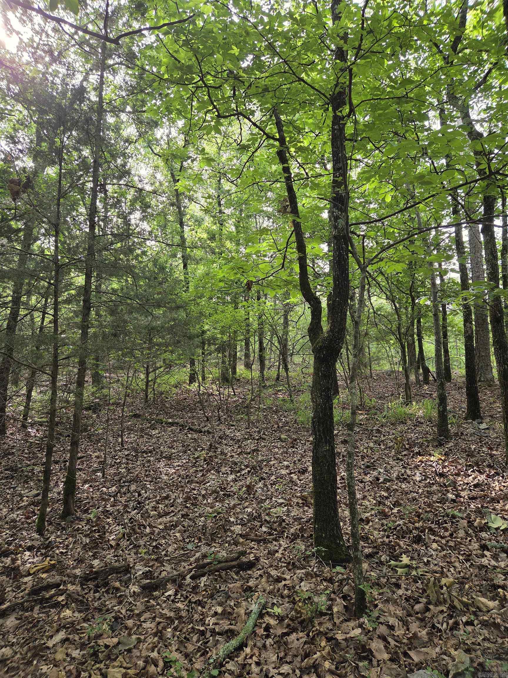 301  Chaparral Lane  Mena, AR