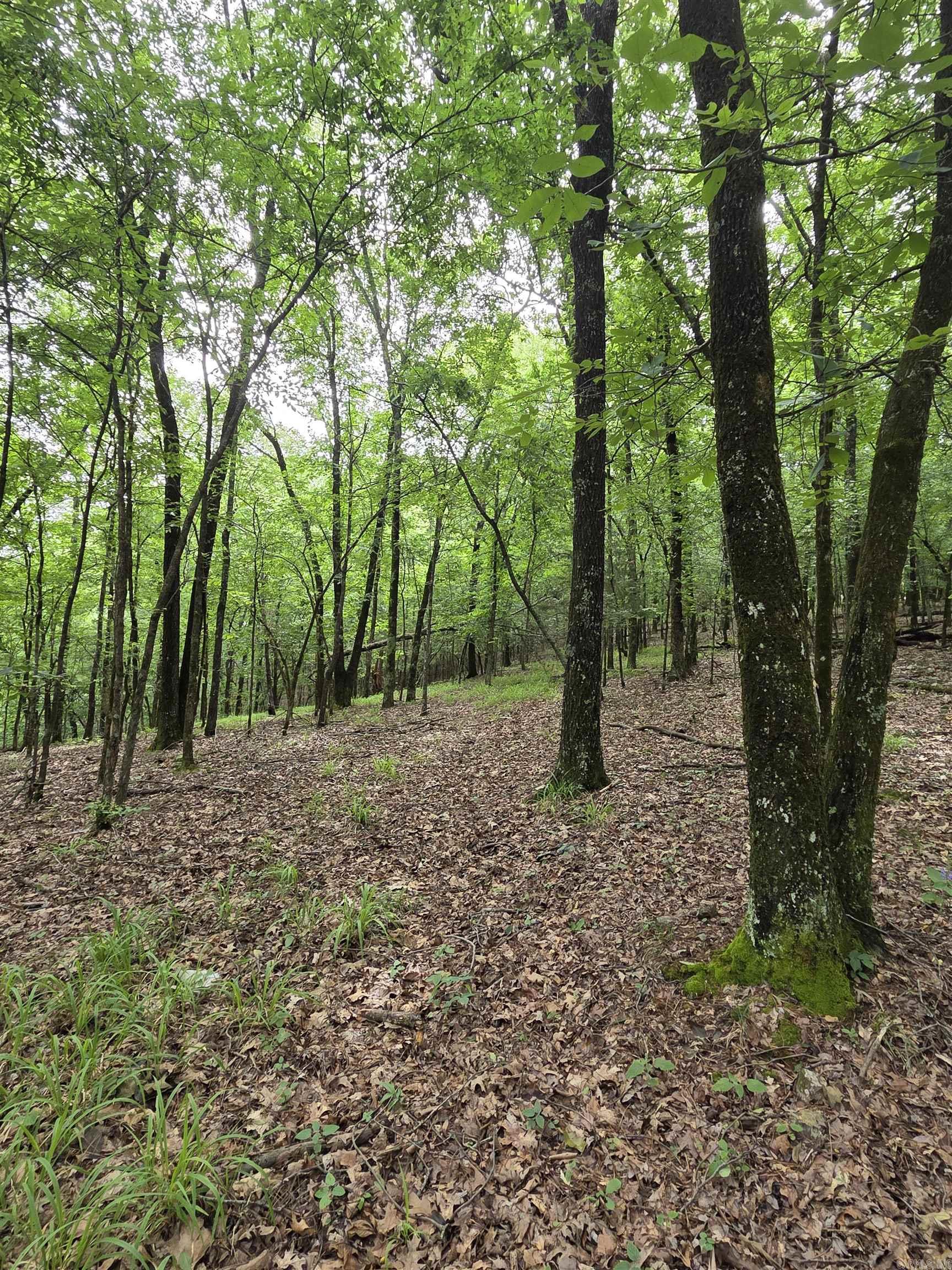 301  Chaparral Lane  Mena, AR