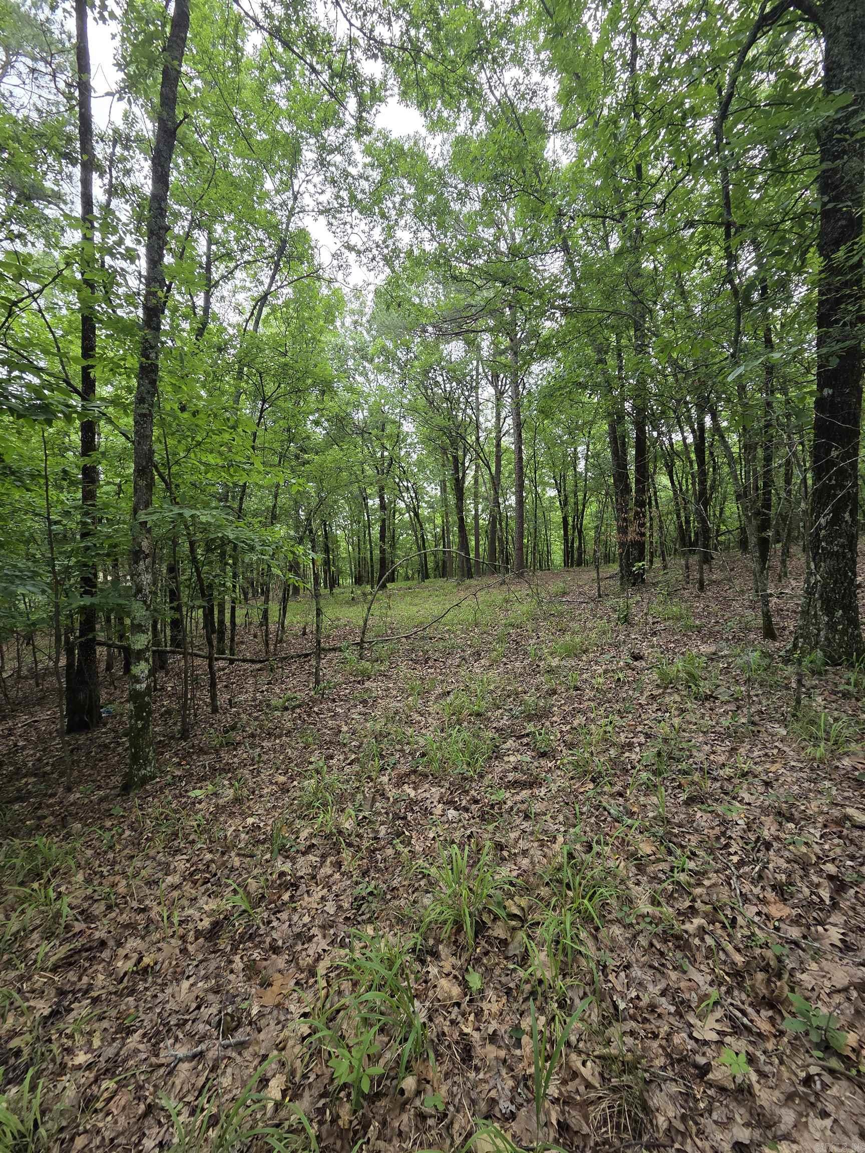 301  Chaparral Lane  Mena, AR
