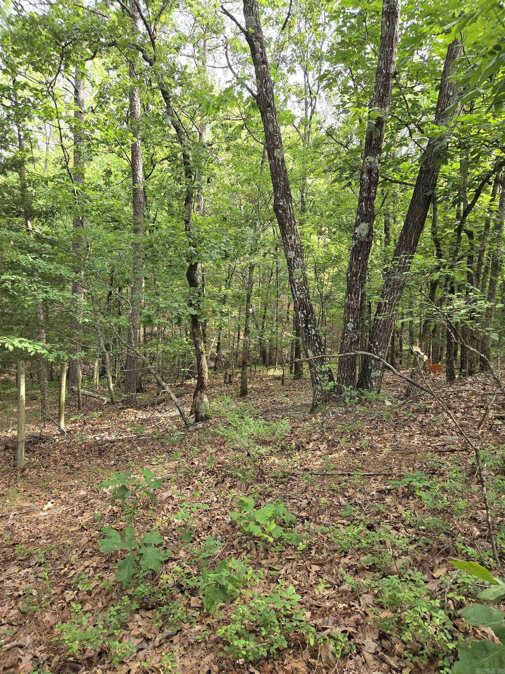 301  Chaparral Lane  Mena, AR