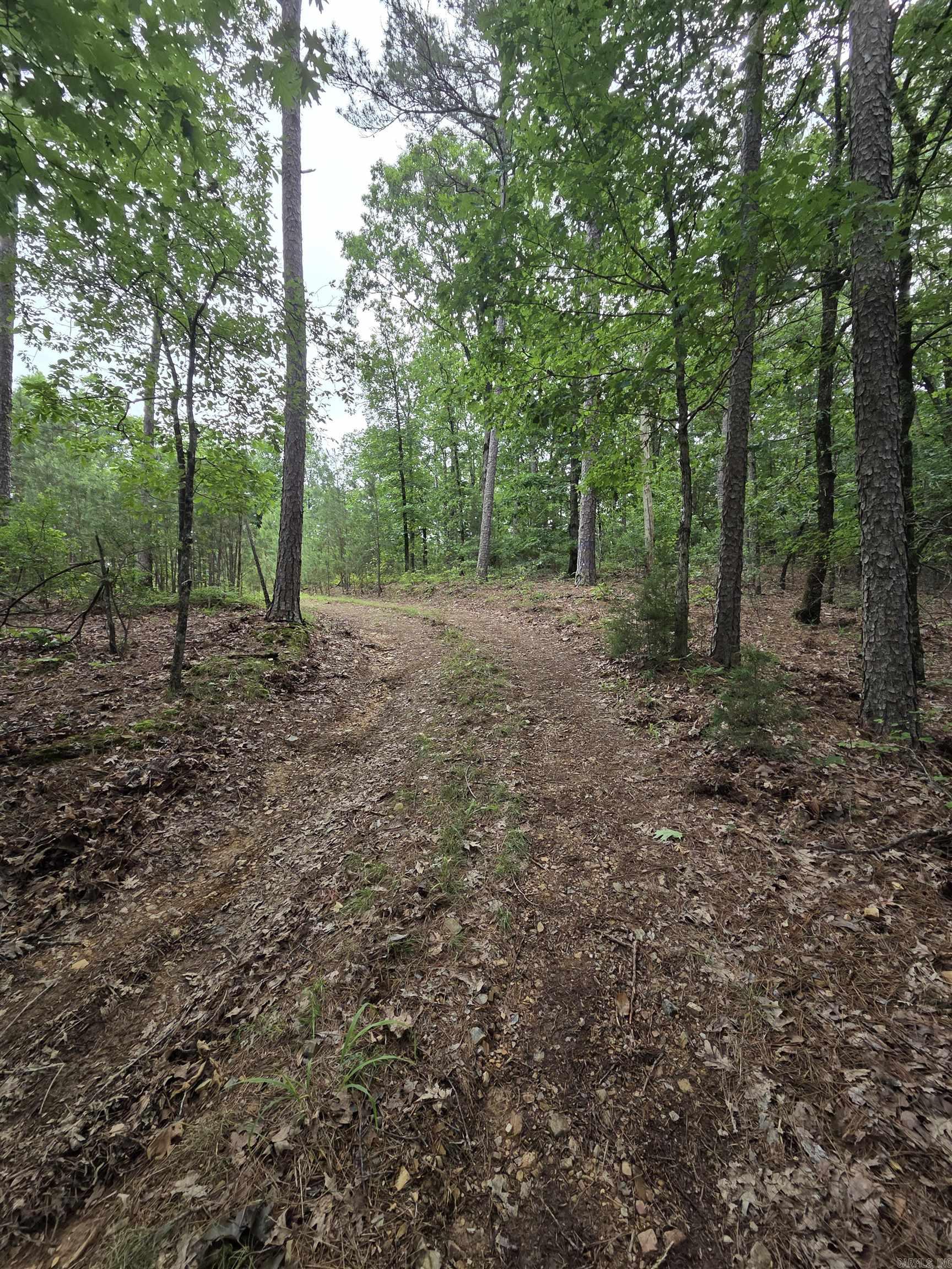 301  Chaparral Lane  Mena, AR