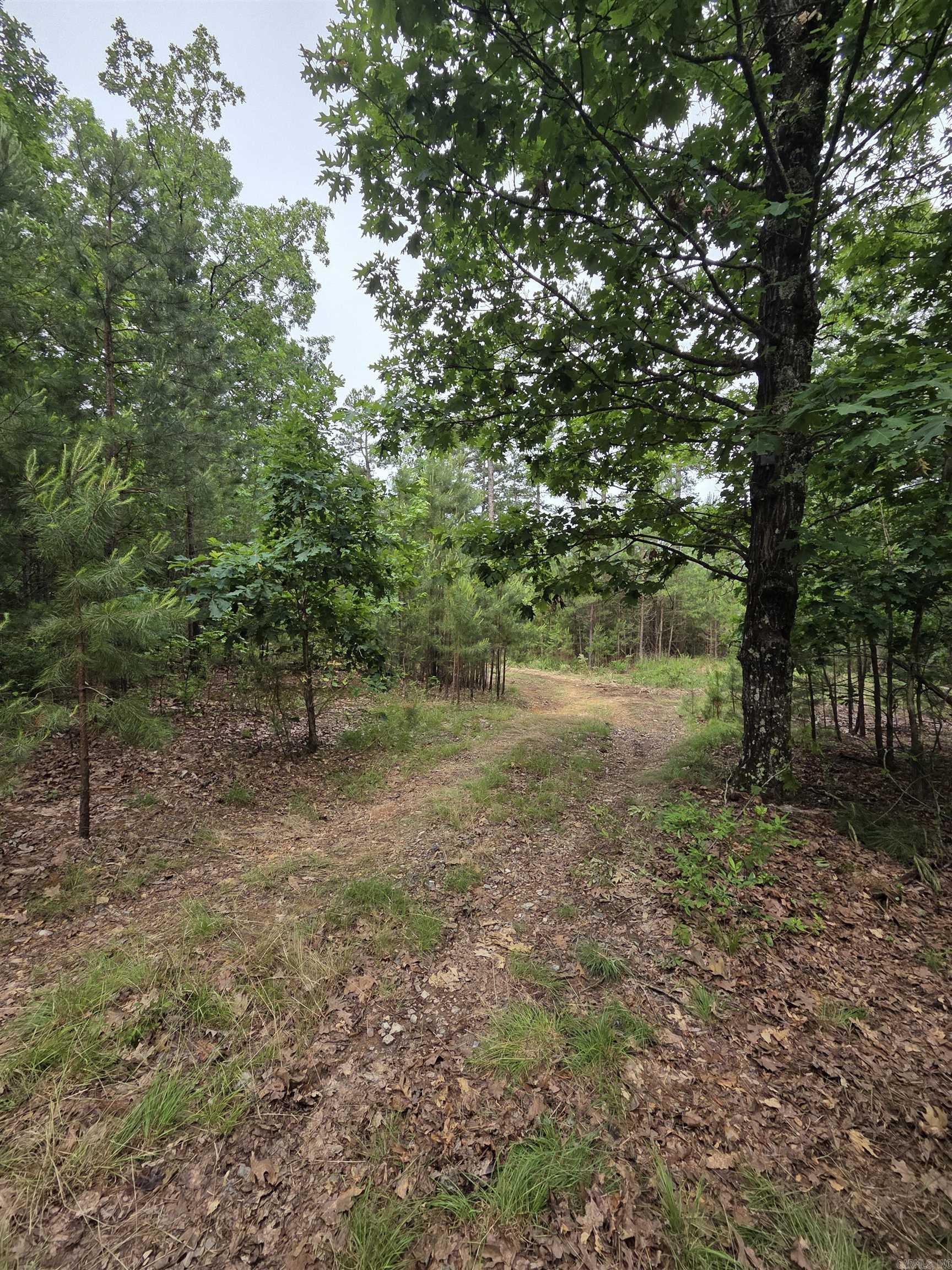 301  Chaparral Lane  Mena, AR