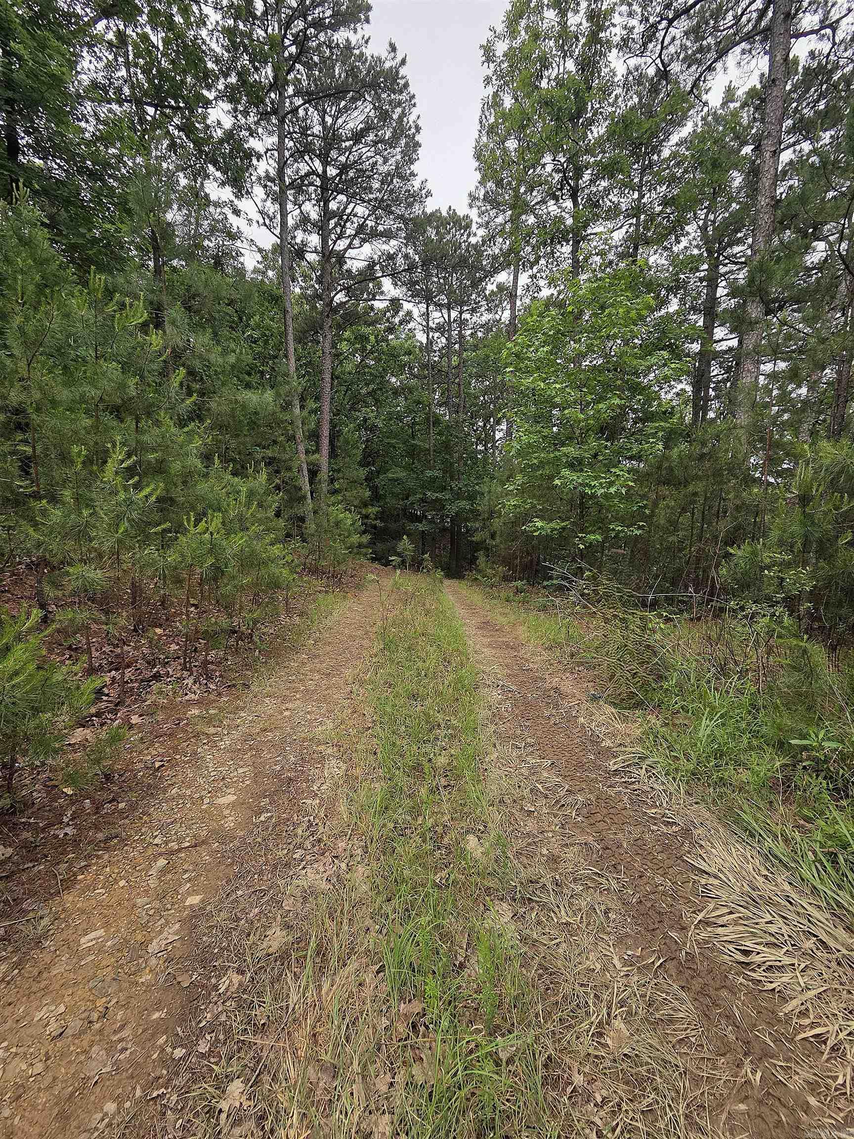 301  Chaparral Lane  Mena, AR