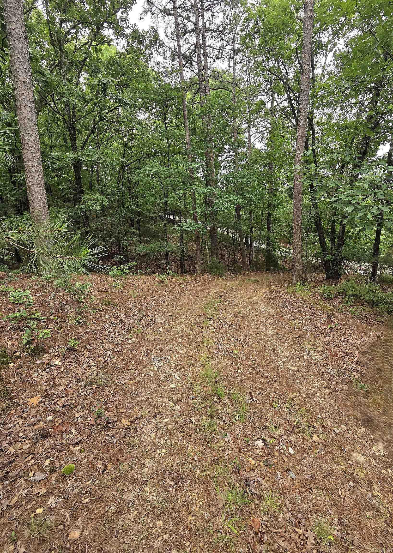 301  Chaparral Lane  Mena, AR