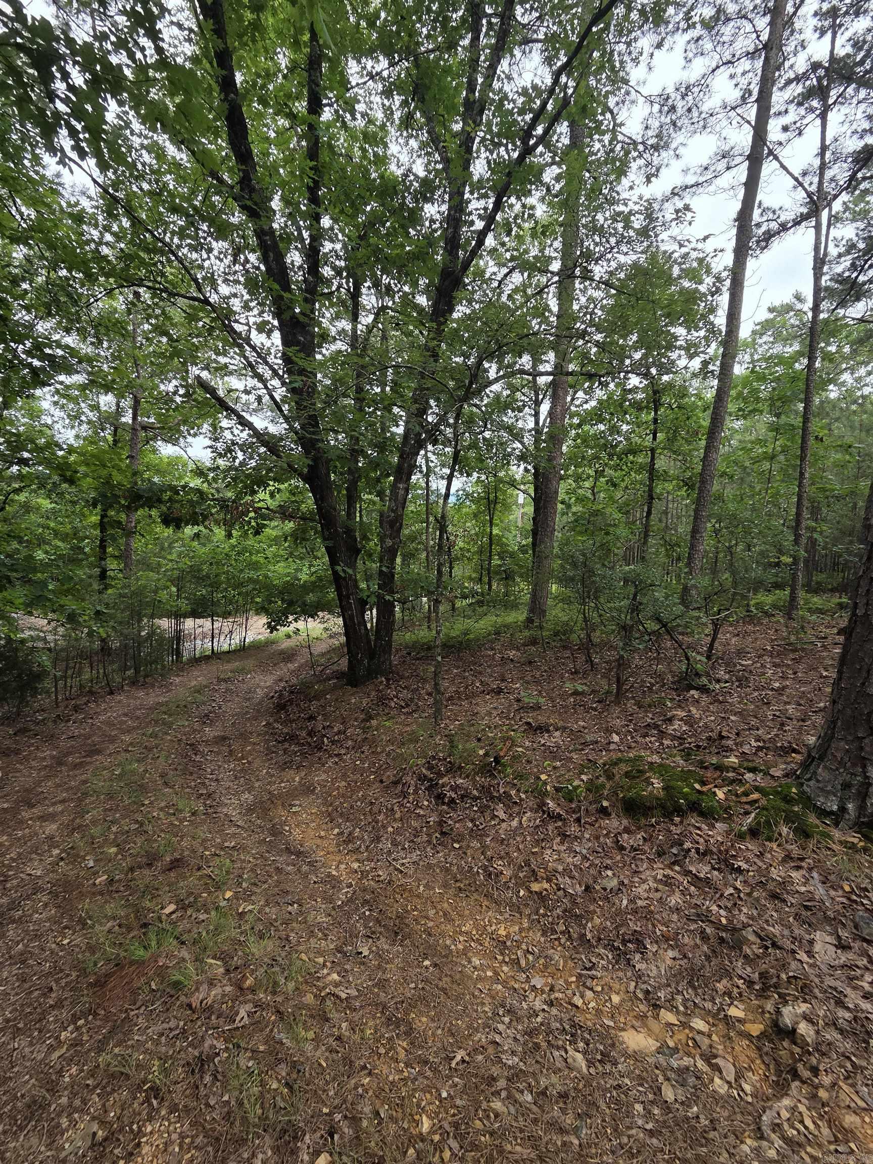 301  Chaparral Lane  Mena, AR