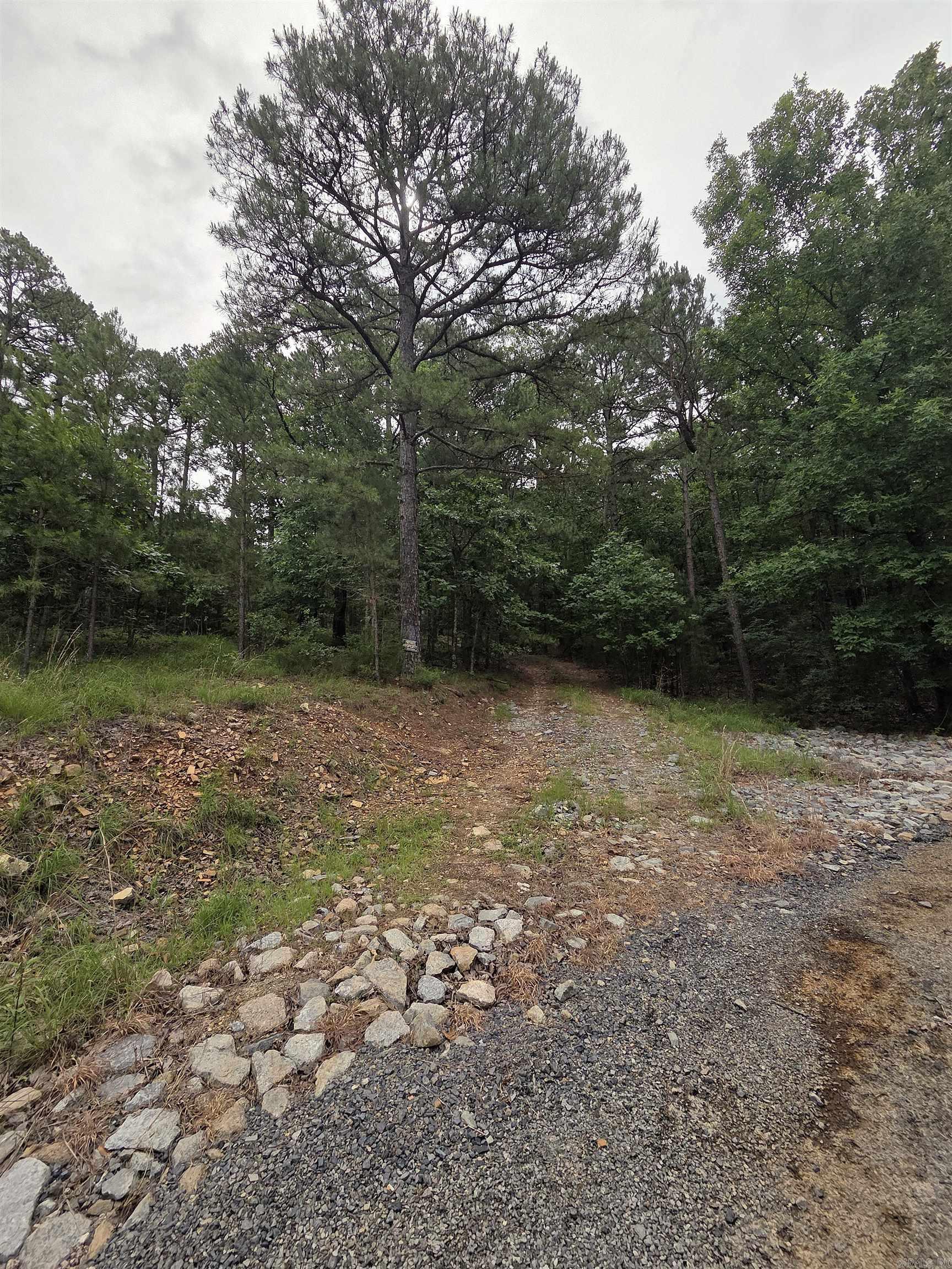 301  Chaparral Lane  Mena, AR