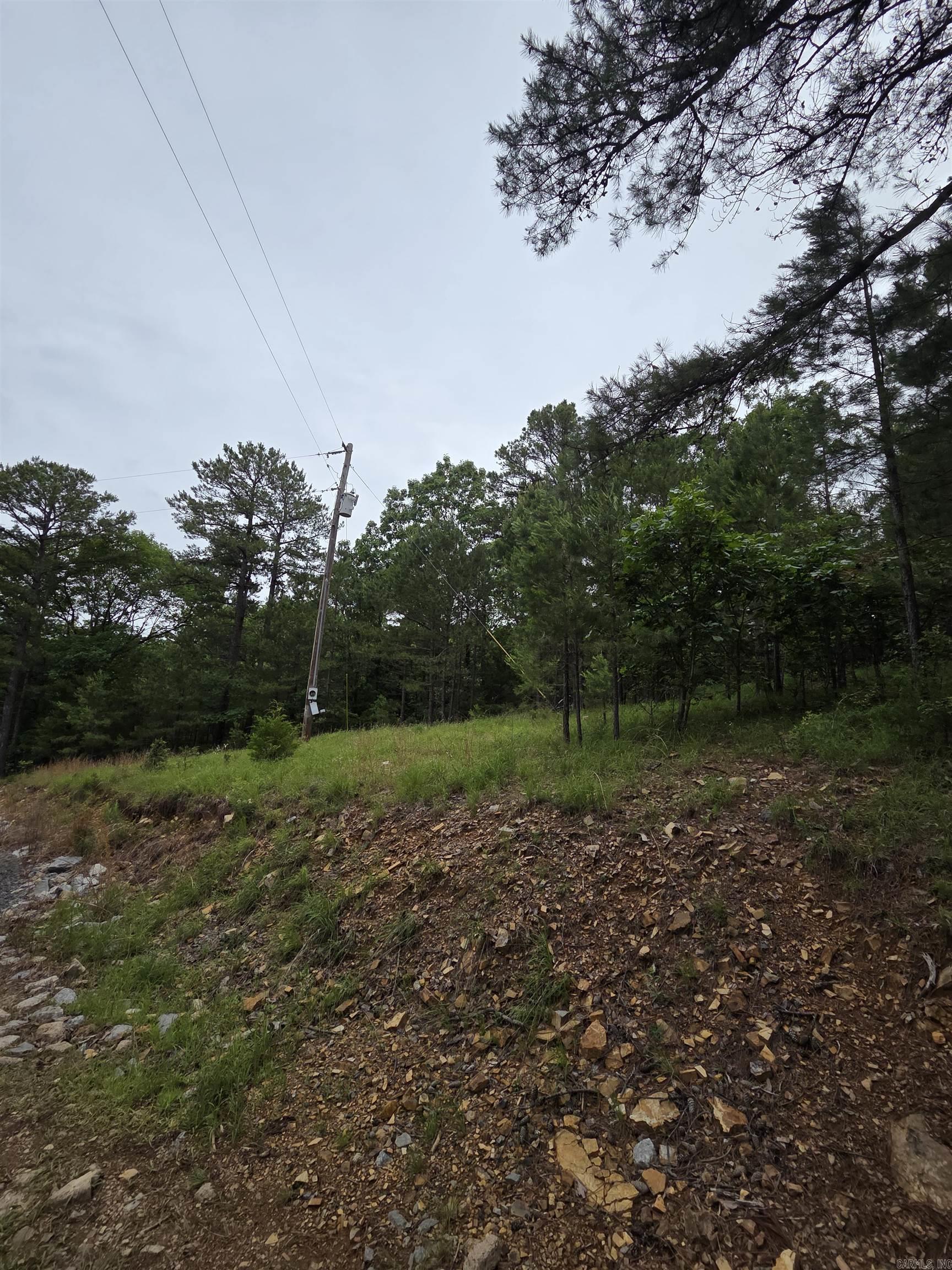 301  Chaparral Lane  Mena, AR