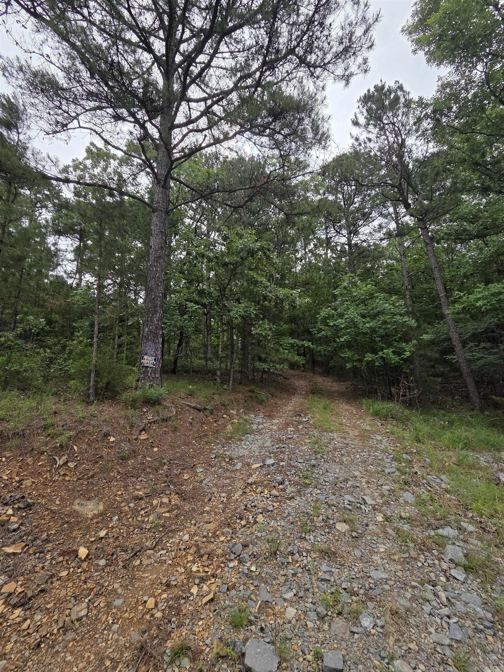 301  Chaparral Lane  Mena, AR