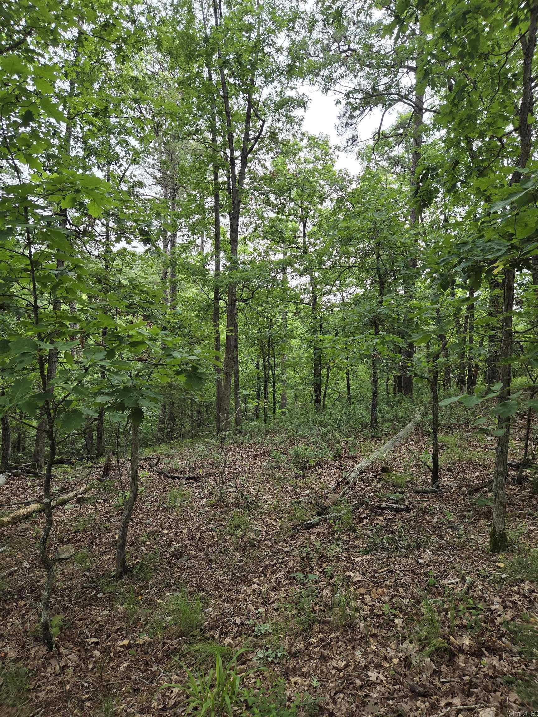 301  Chaparral Lane  Mena, AR