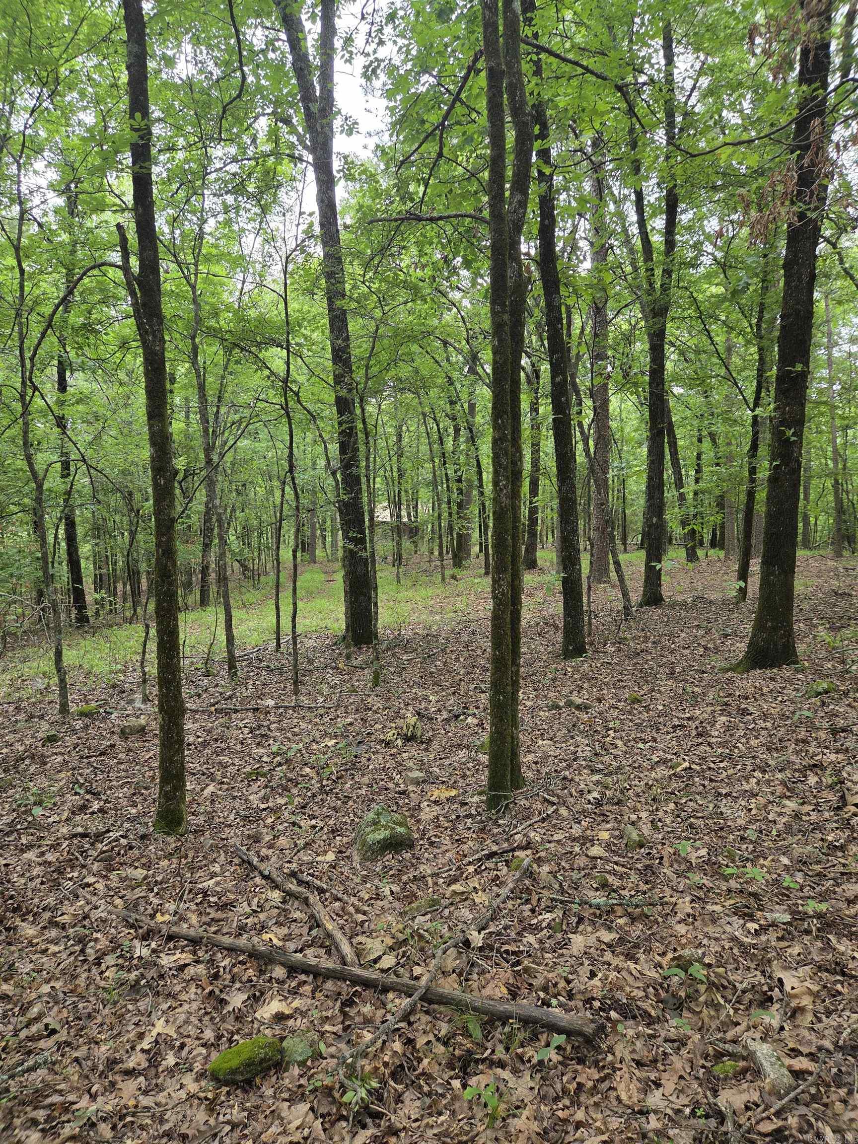 301  Chaparral Lane  Mena, AR