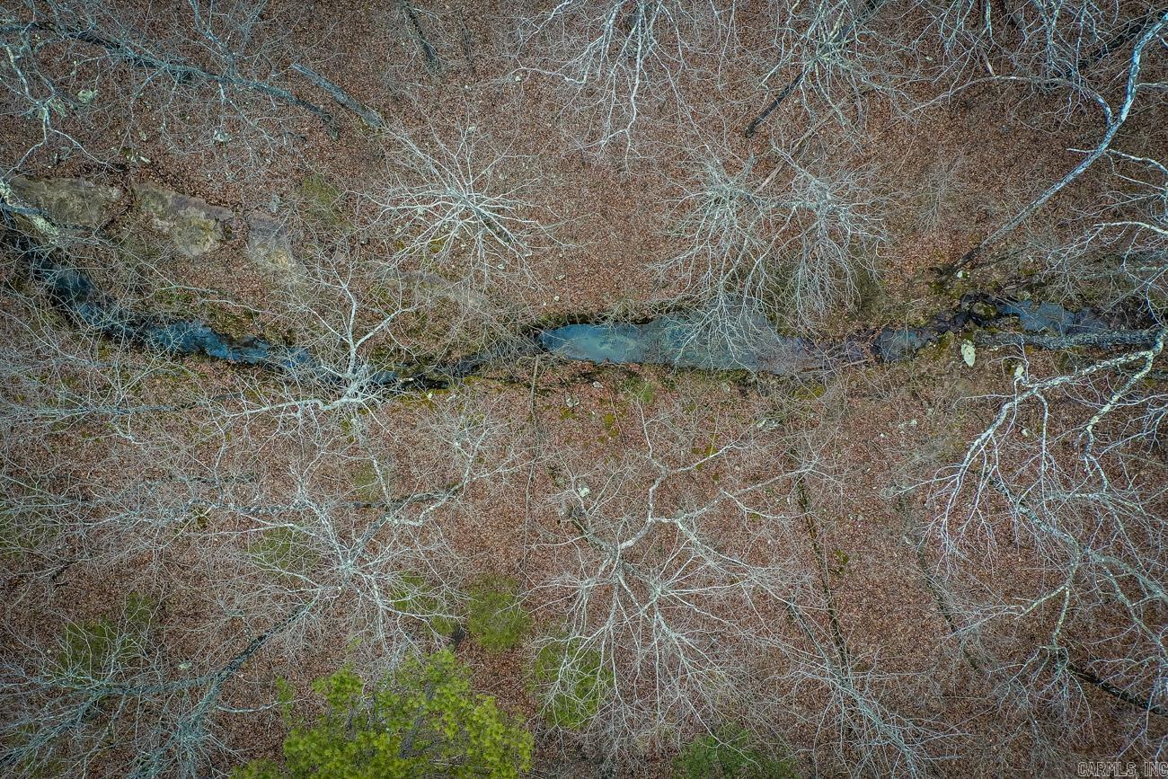Lot 5  Florence  Edgemont, AR