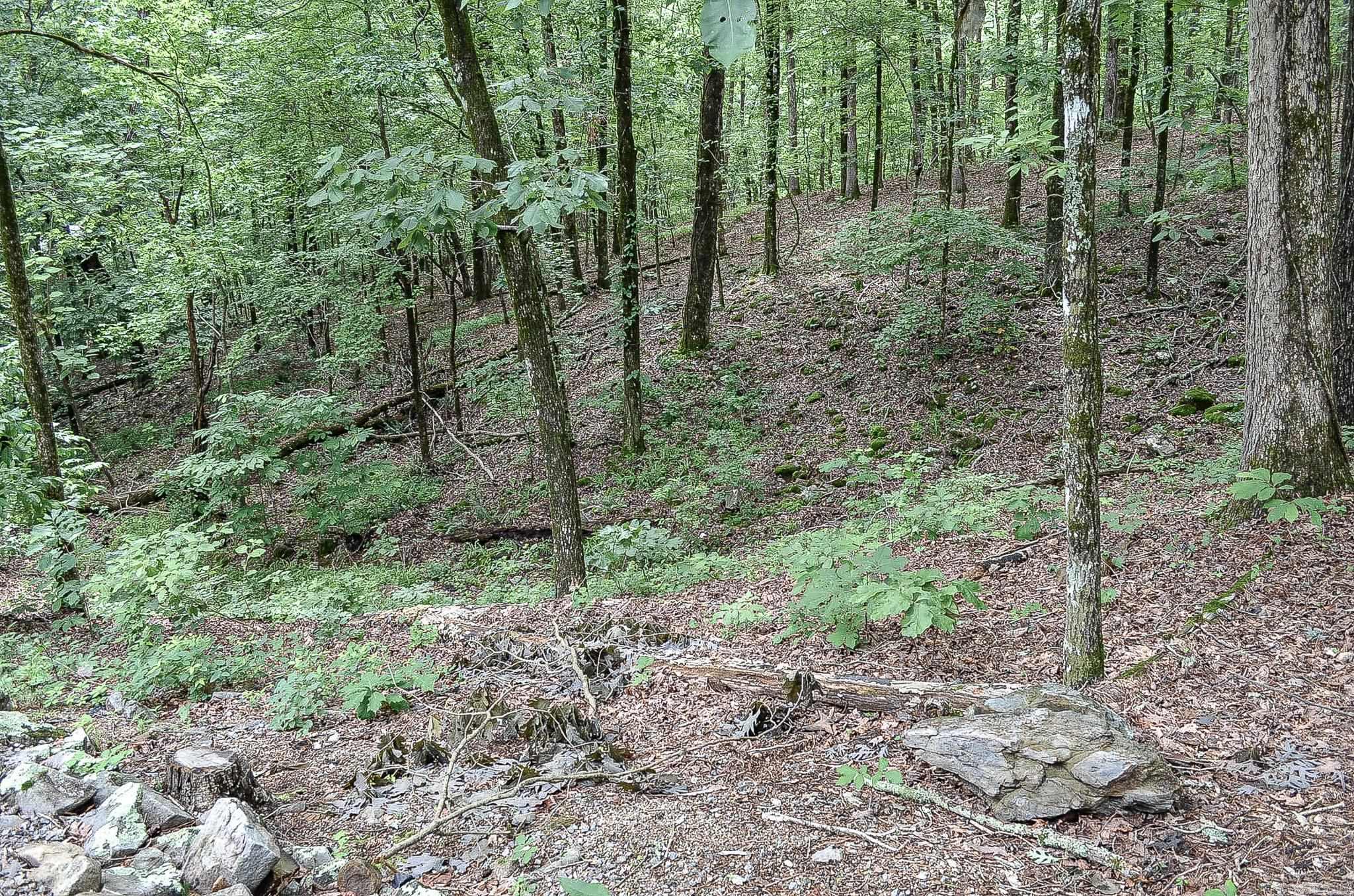 1  Sierra  Hot Springs Village, AR