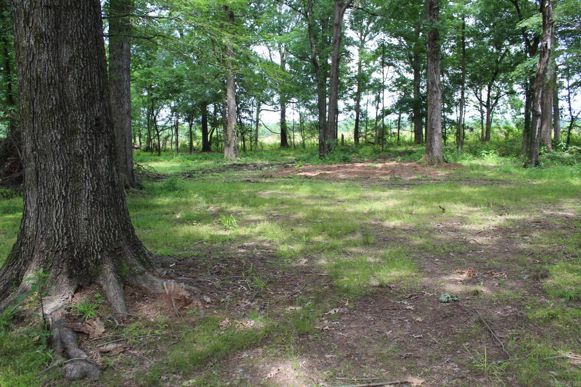 150  Frost Lane  Nashville, AR