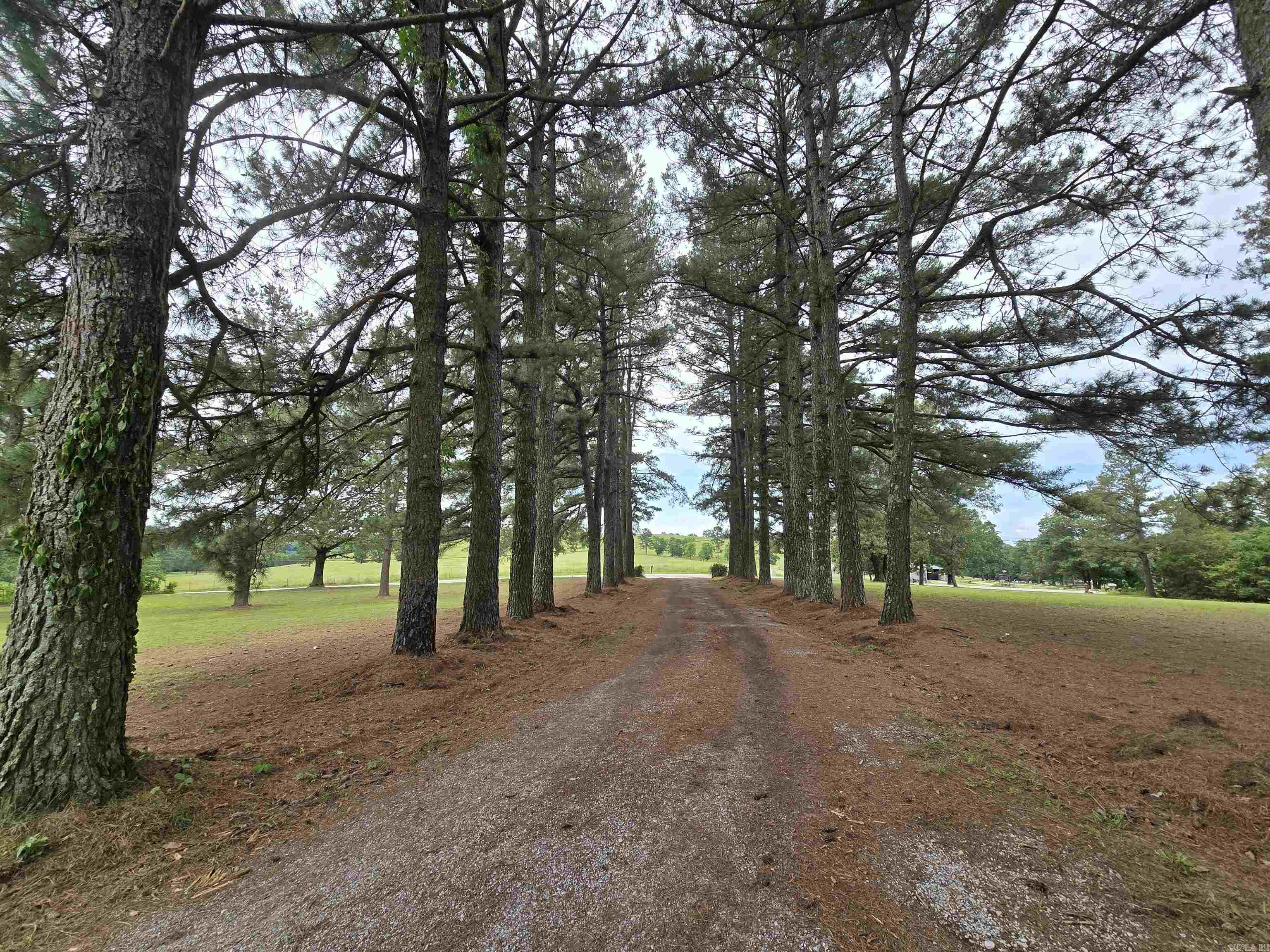 2373  West Rd  Mount Pleasant, AR