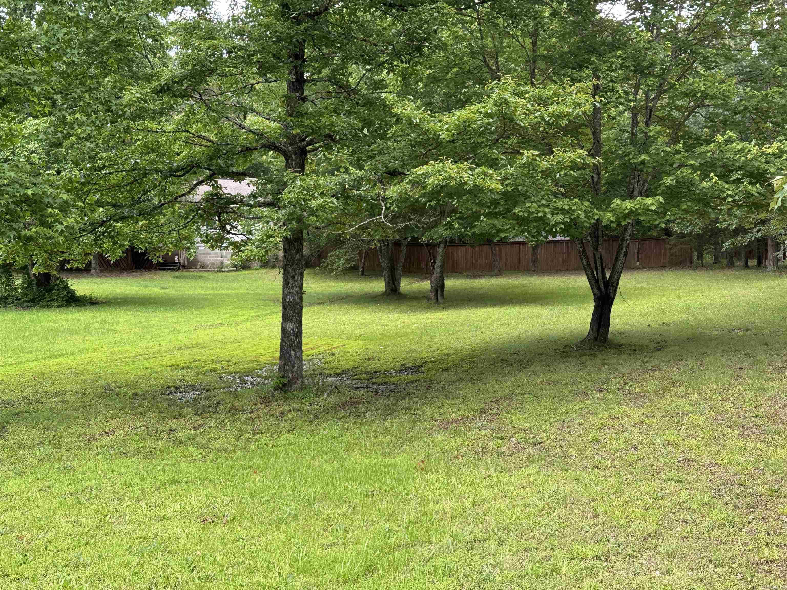 41  Dogwood  Higden, AR