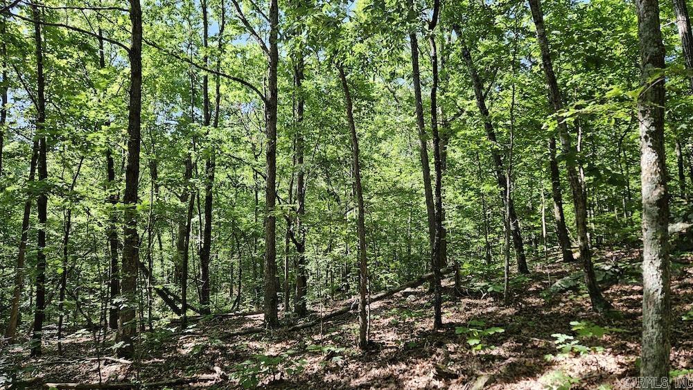   NC 2848  Marble Falls, AR