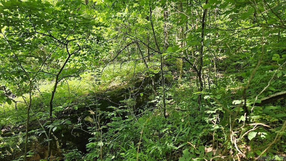   NC 2848  Marble Falls, AR