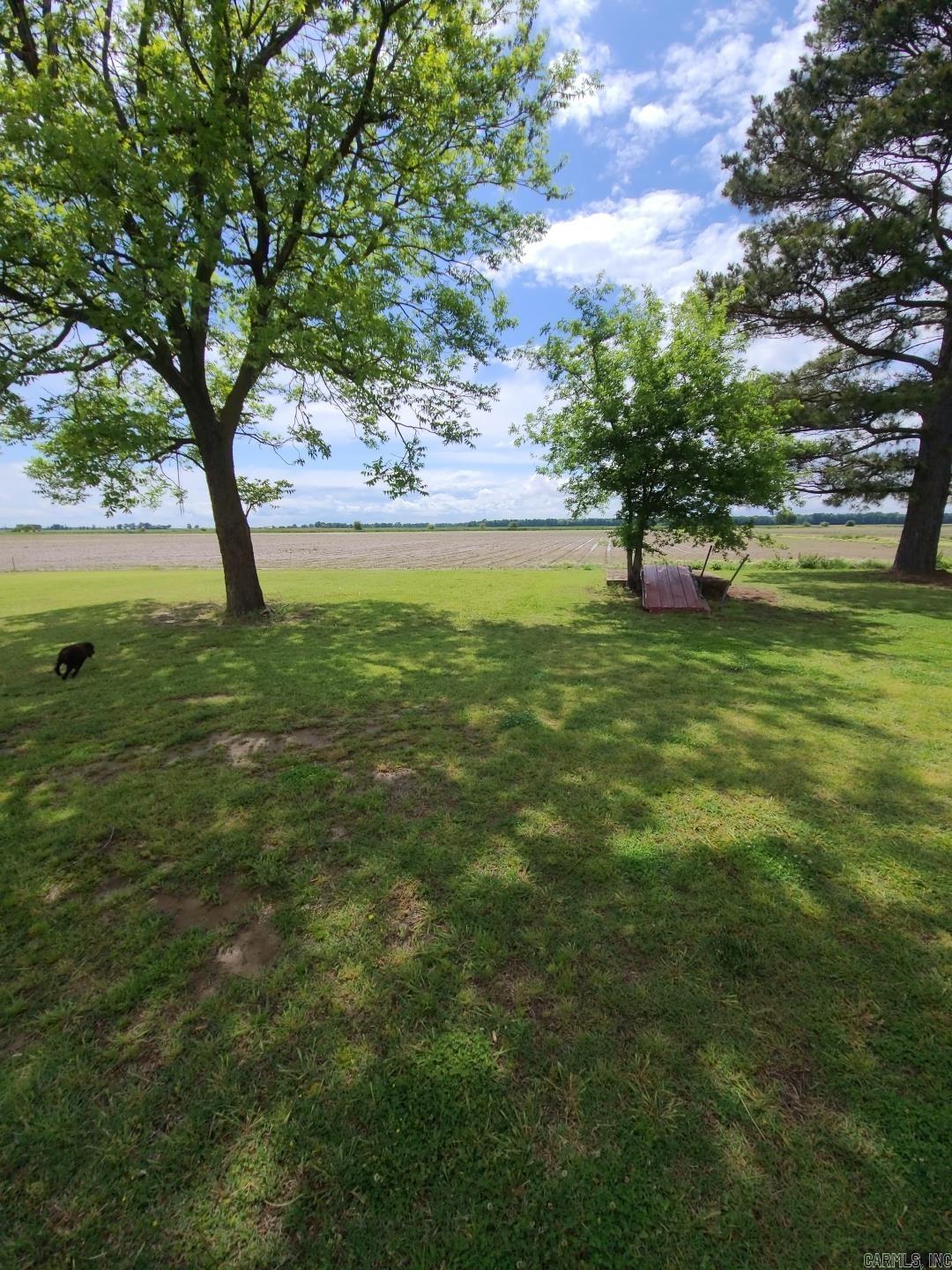 2355  Jackson 70  Swifton, AR