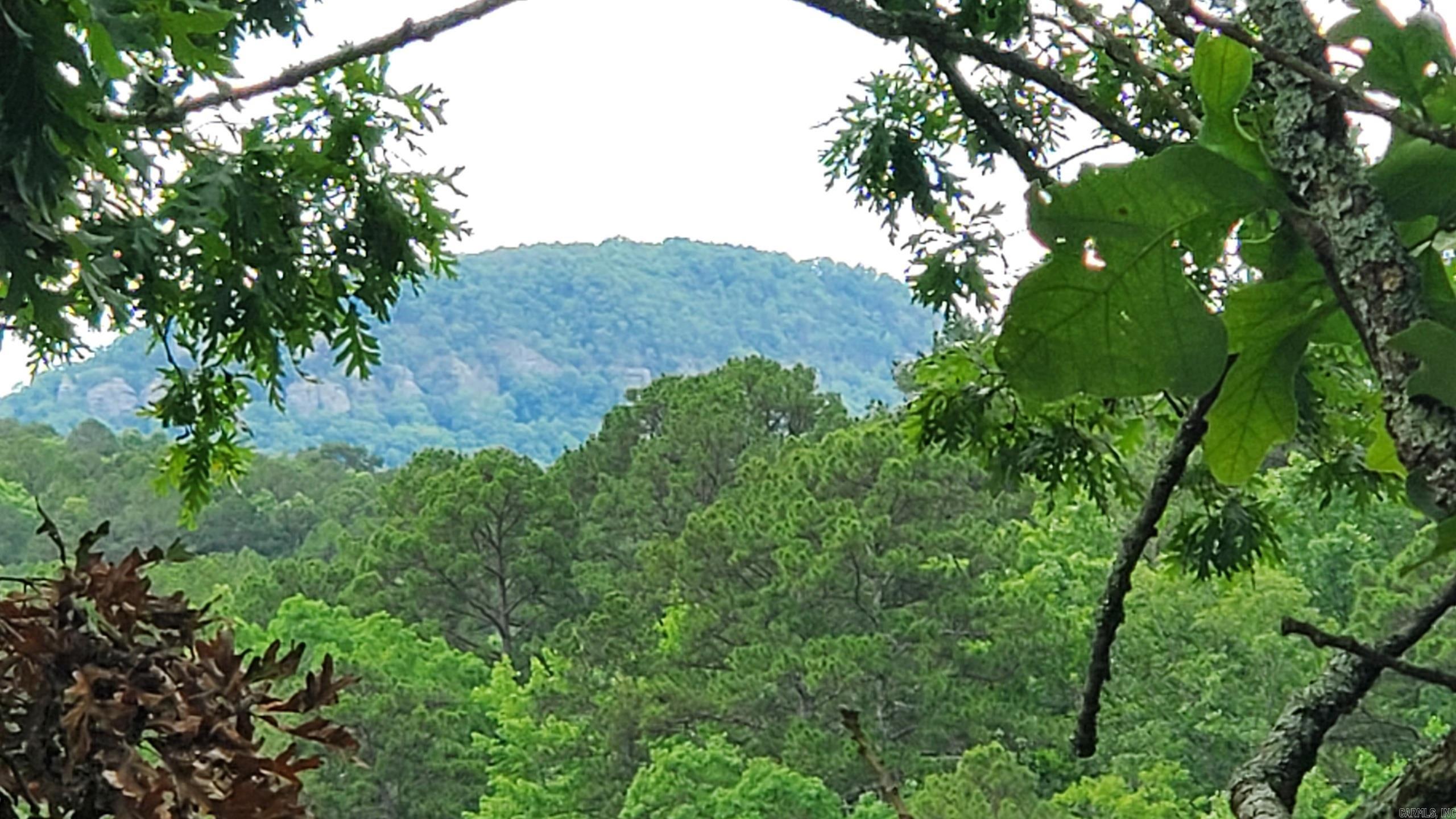 211  Burnt Rock Falls  Fairfield Bay, AR