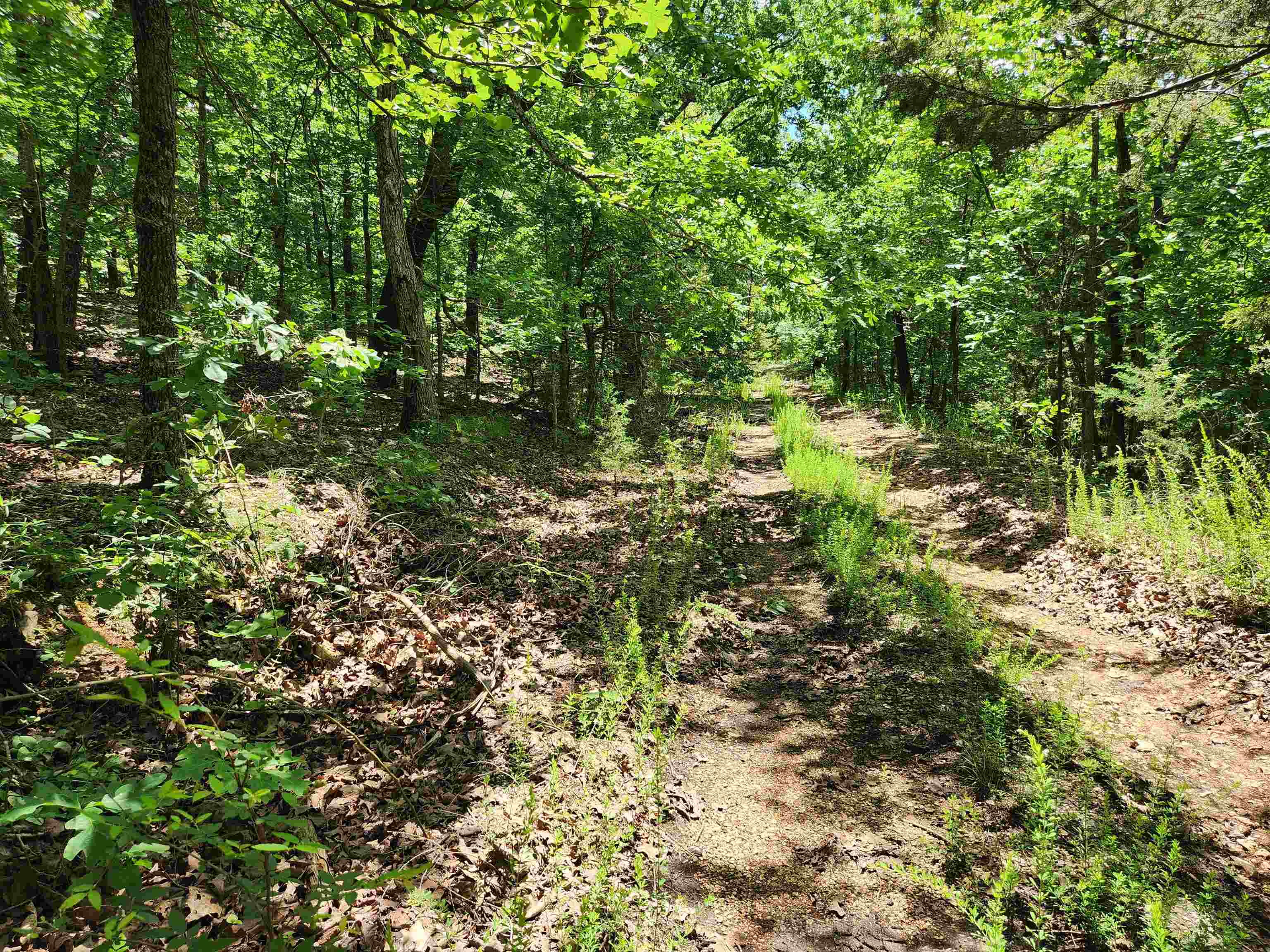 L-14, B-4  Piute  Cherokee Village, AR