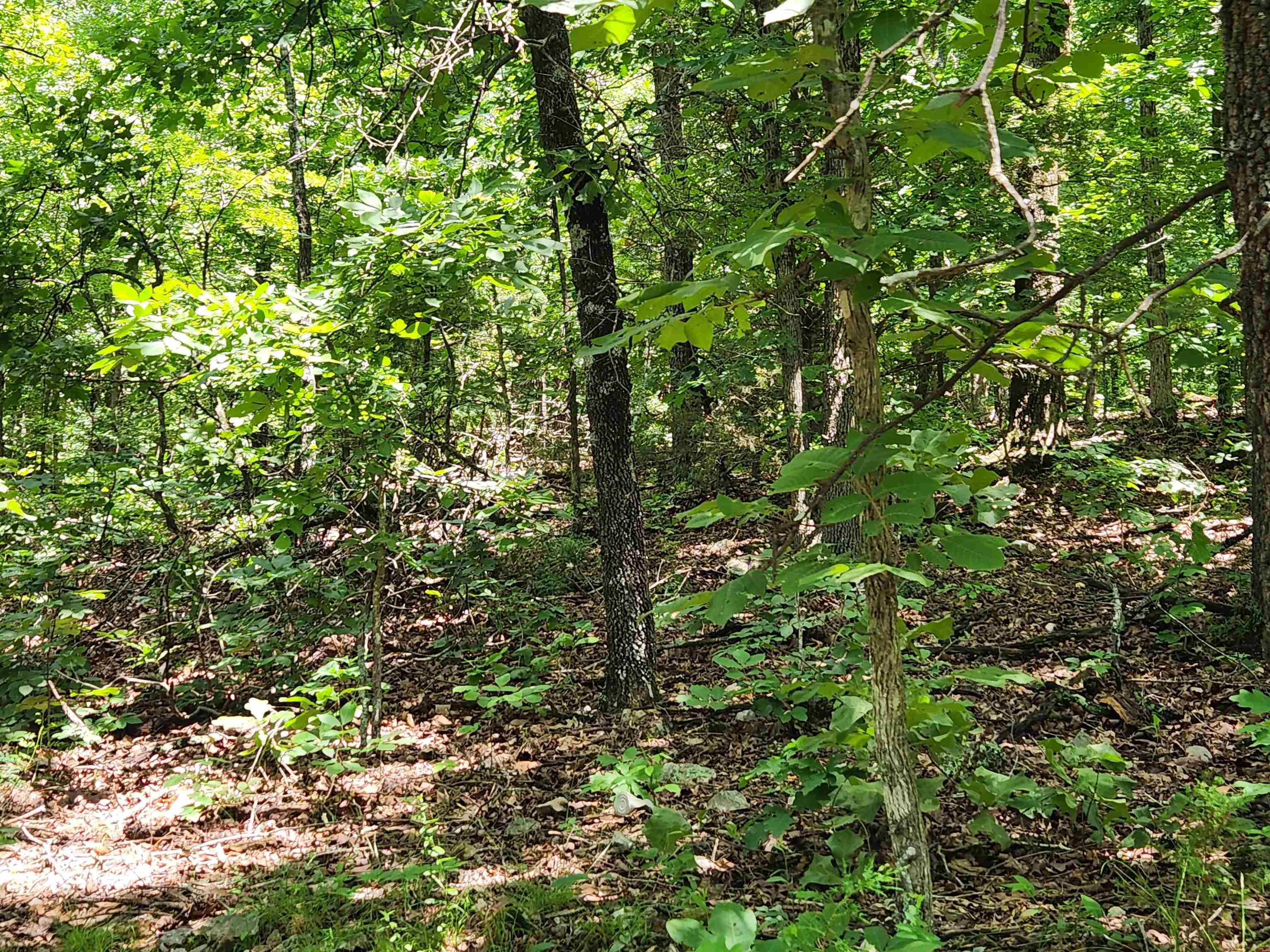 L-14, B-4  Piute  Cherokee Village, AR