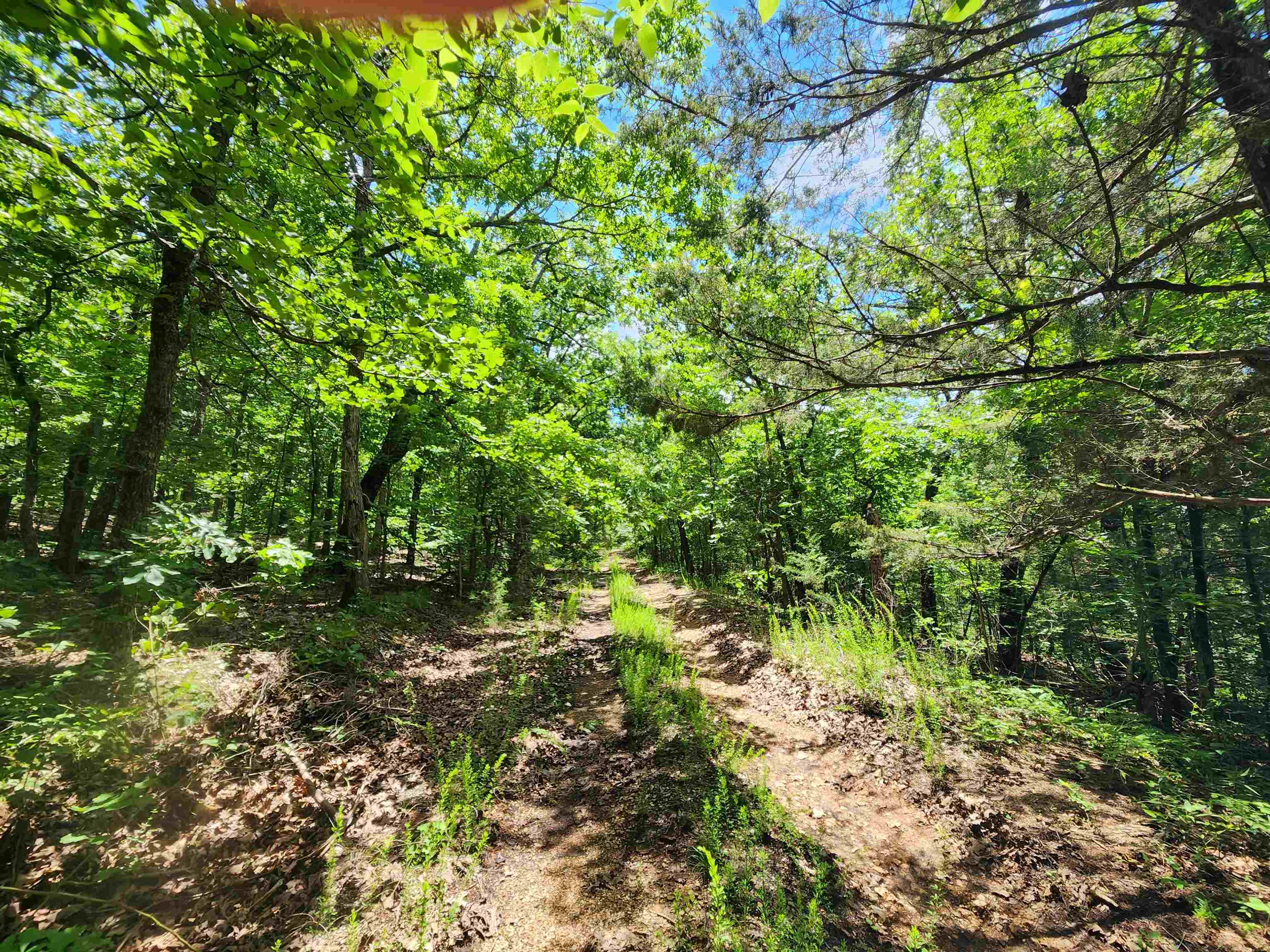 L-14, B-4  Piute  Cherokee Village, AR
