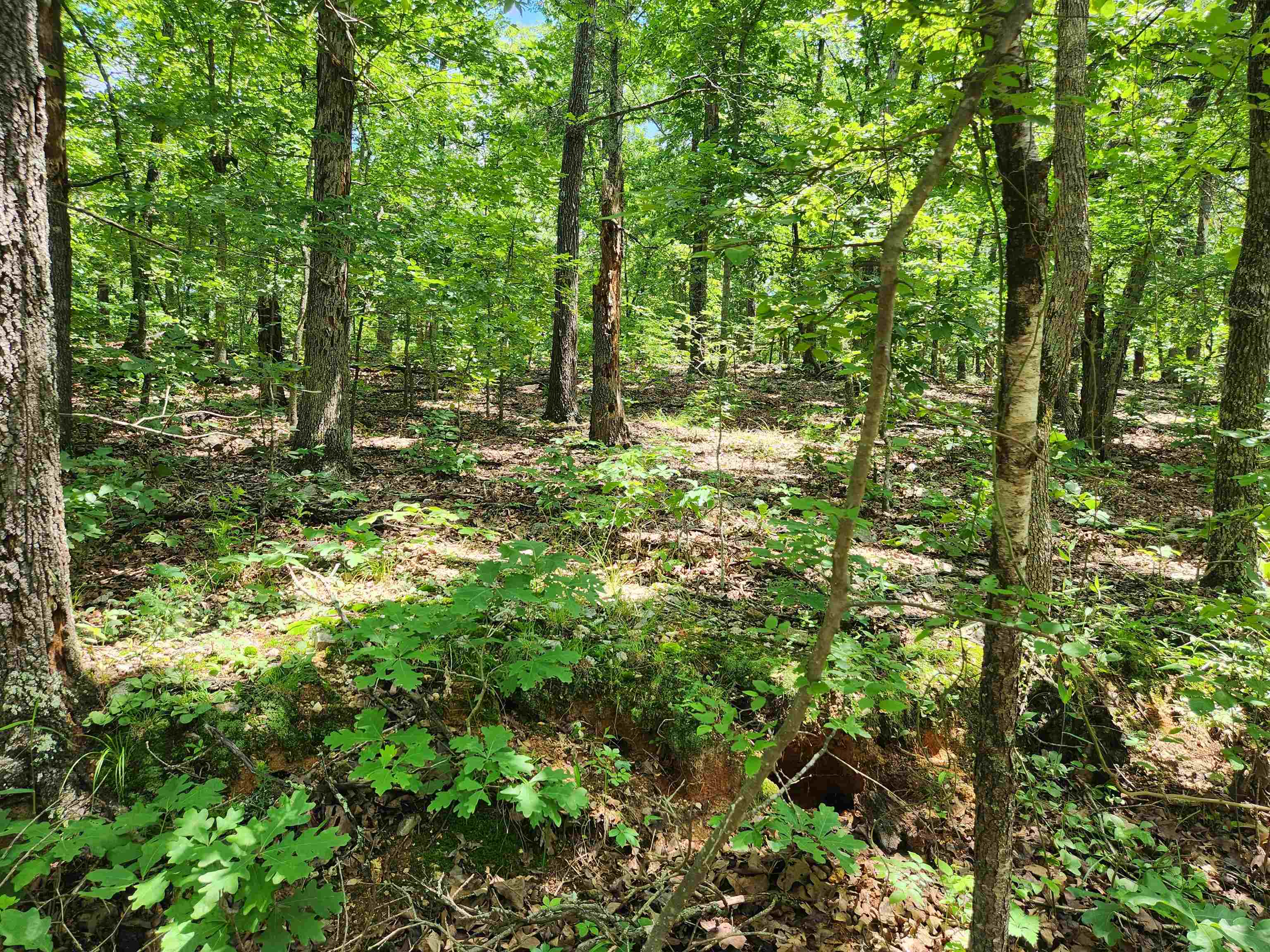 L-14, B-4  Piute  Cherokee Village, AR