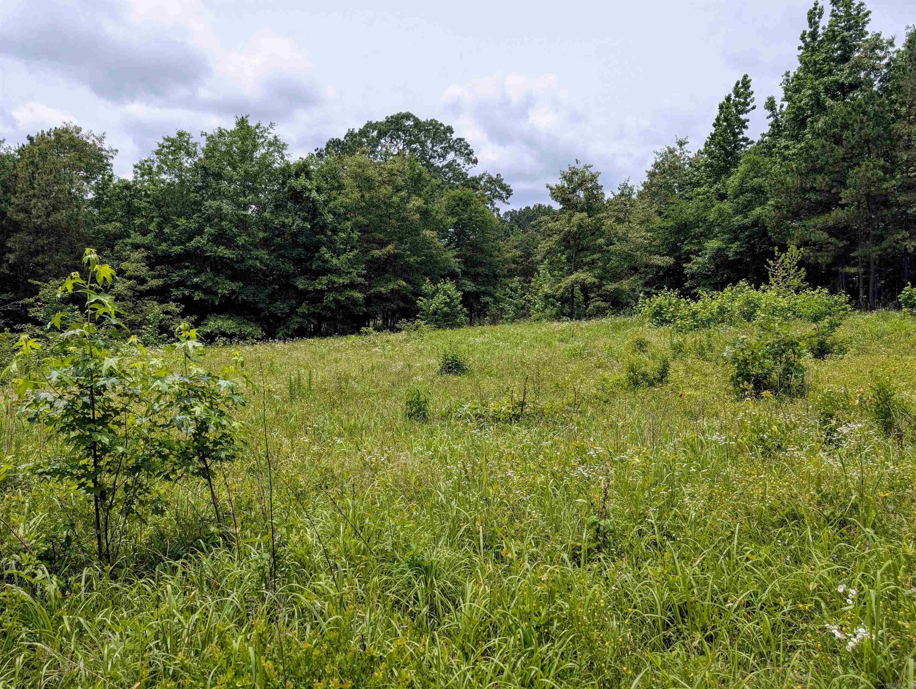 533  Caney Creek Loop  Smithville, OK