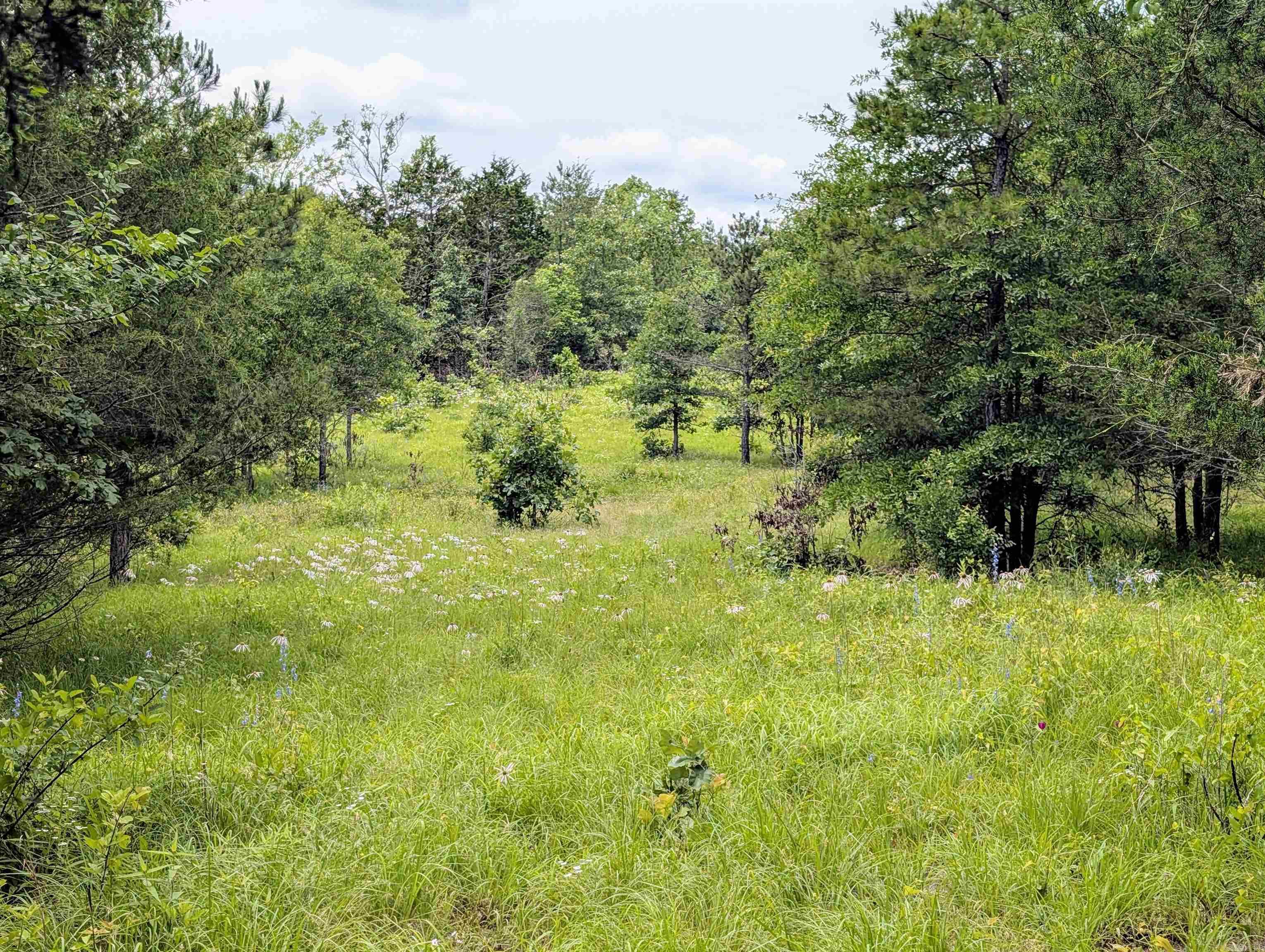 533  Caney Creek Loop  Smithville, OK