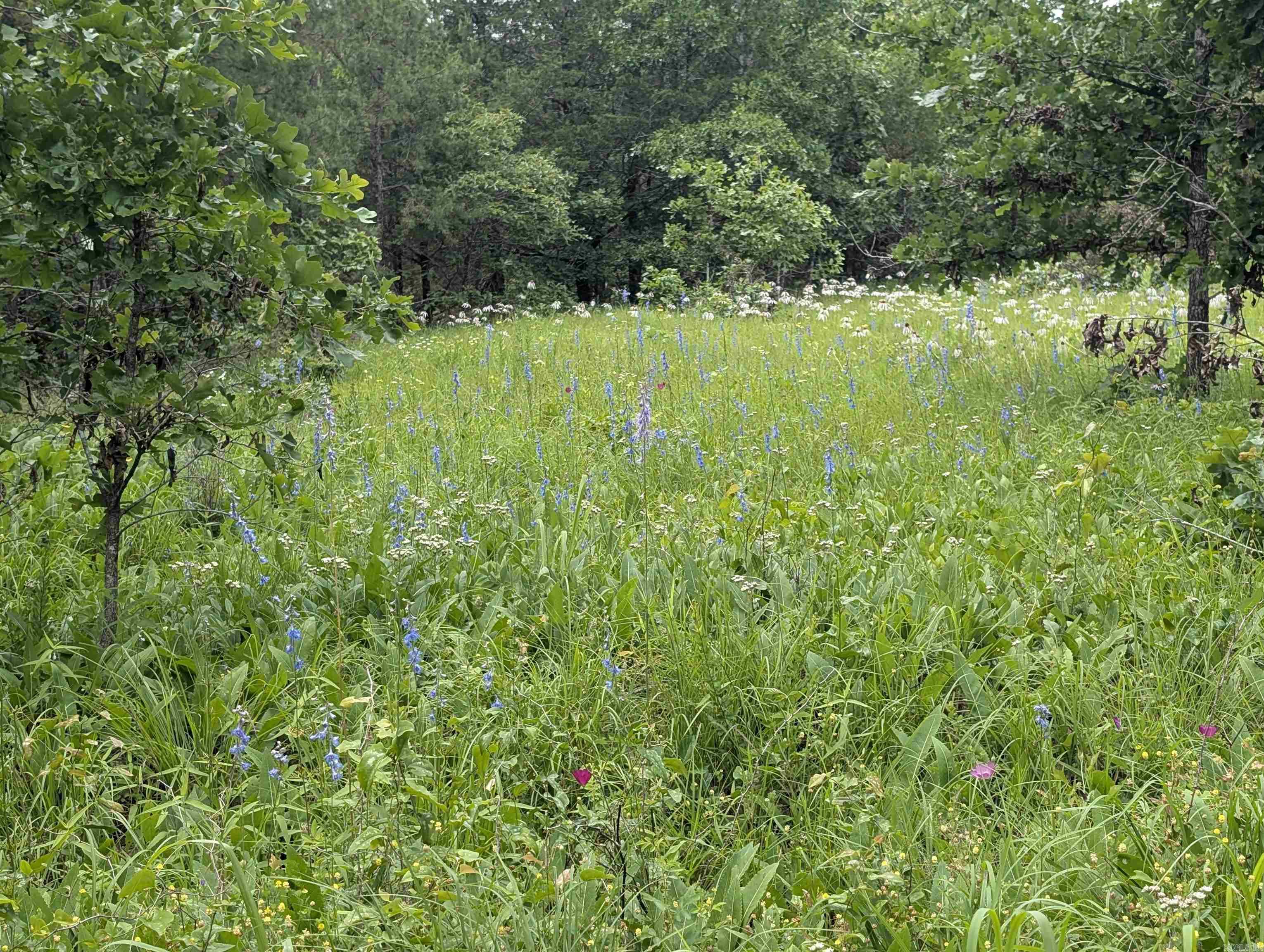 533  Caney Creek Loop  Smithville, OK