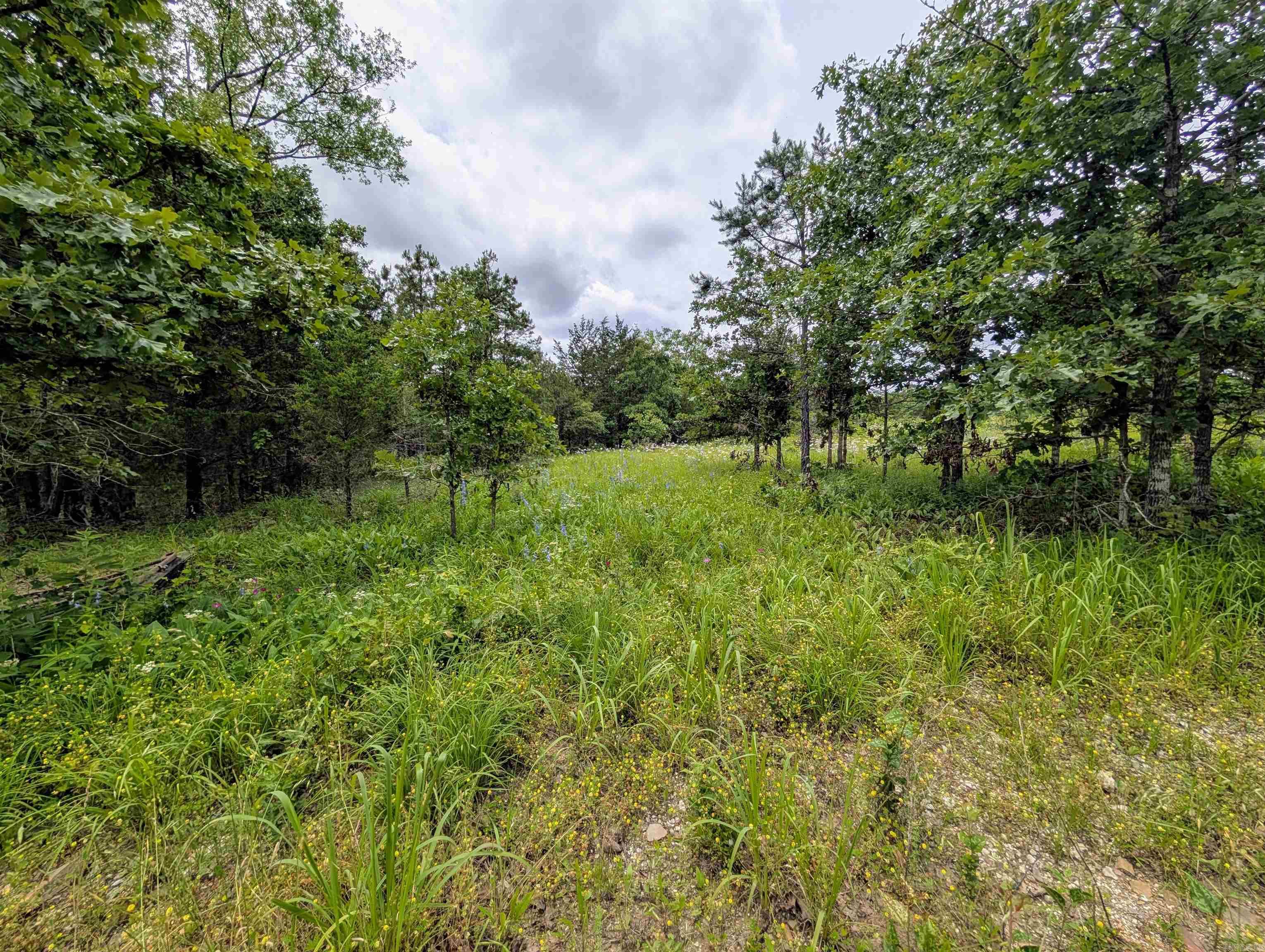 533  Caney Creek Loop  Smithville, OK