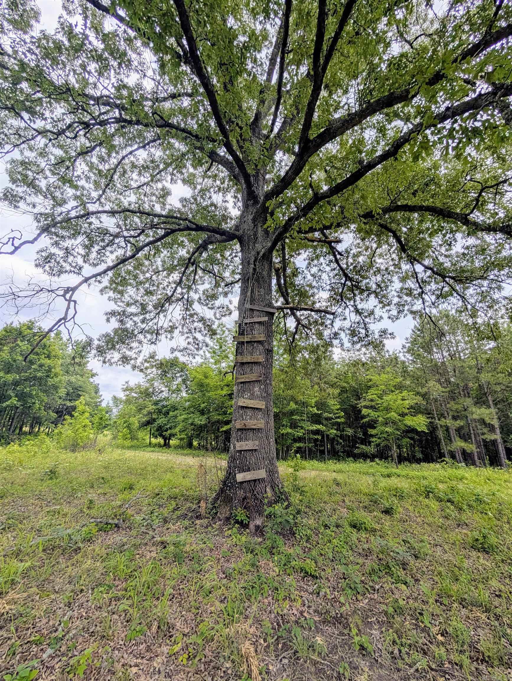 533  Caney Creek Loop  Smithville, OK