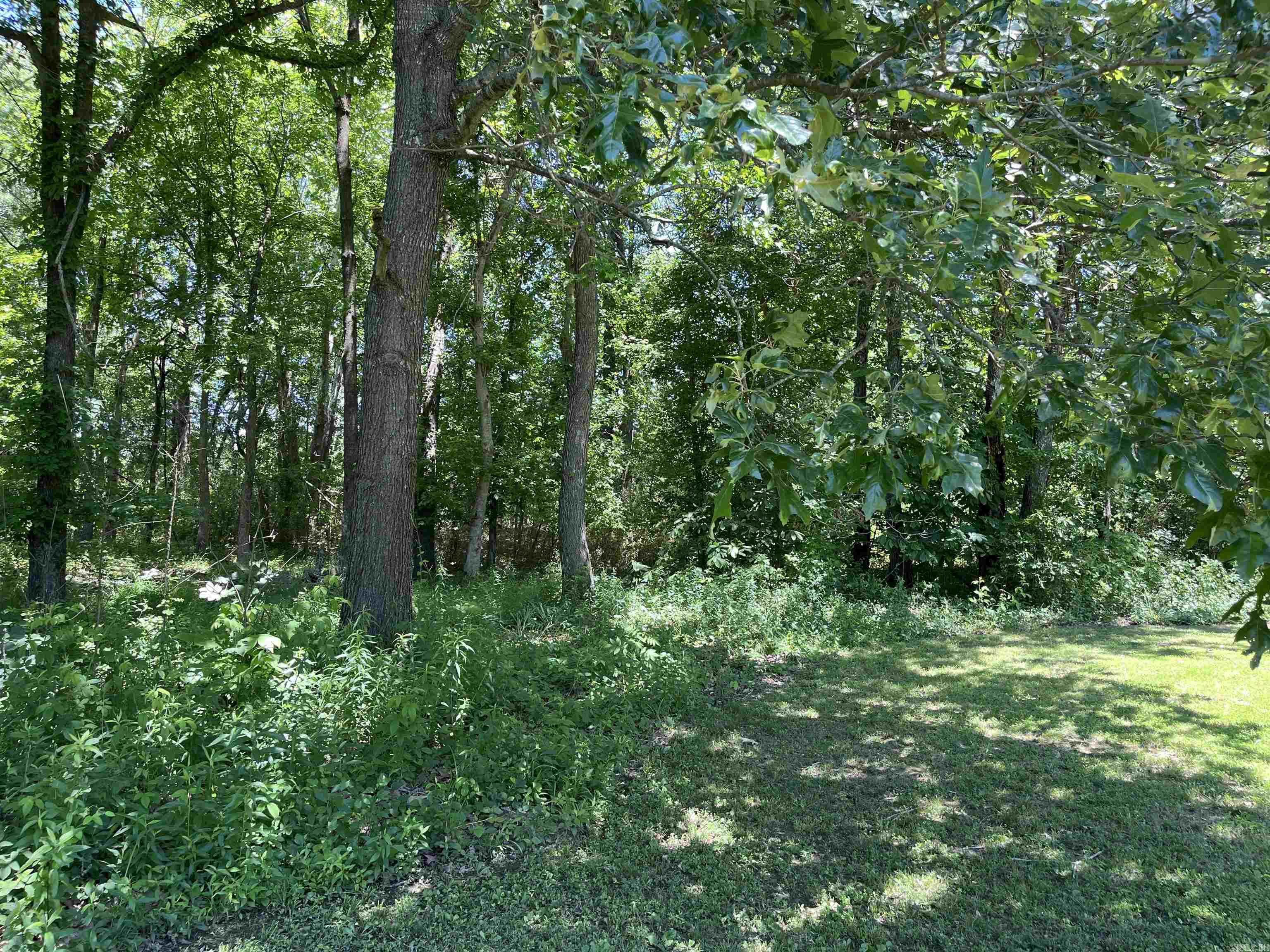 249  Greene 517  Paragould, AR