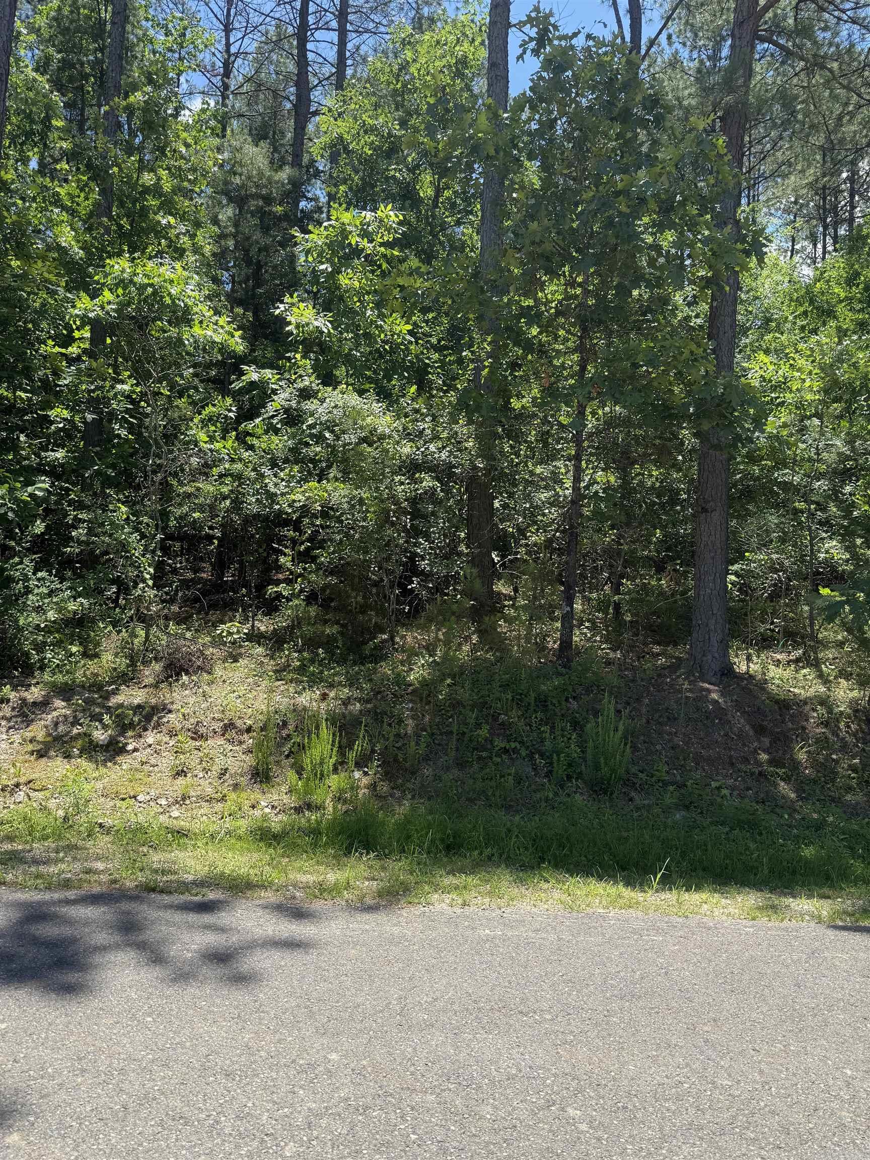 68  Manzanares  Hot Springs Village, AR