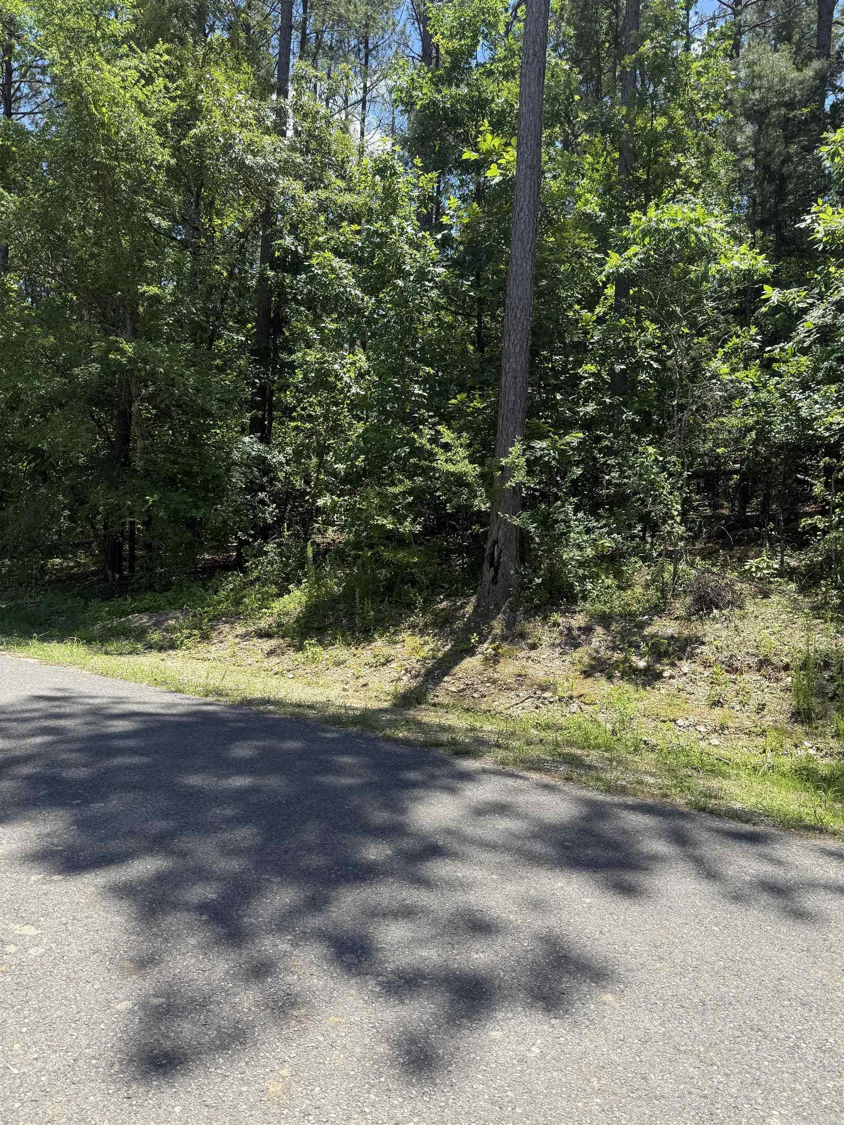 68  Manzanares  Hot Springs Village, AR