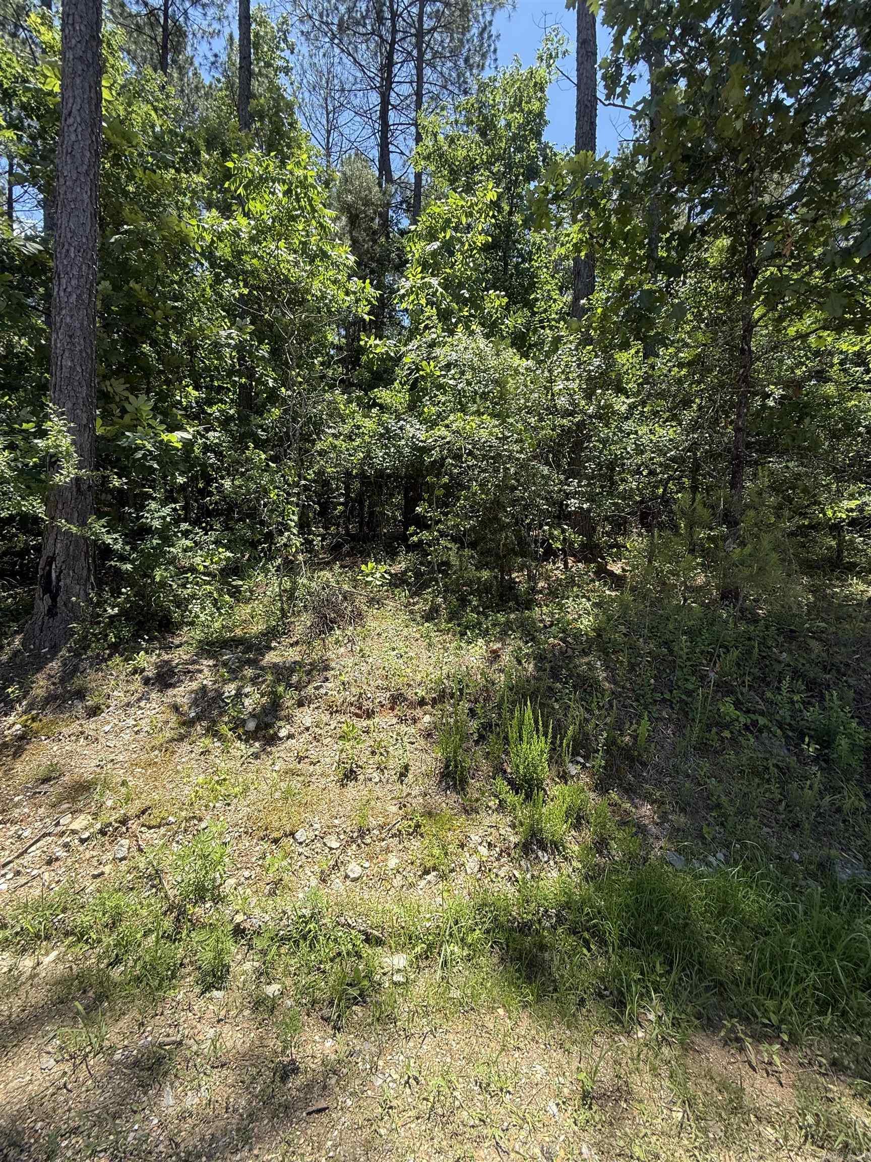 68  Manzanares  Hot Springs Village, AR