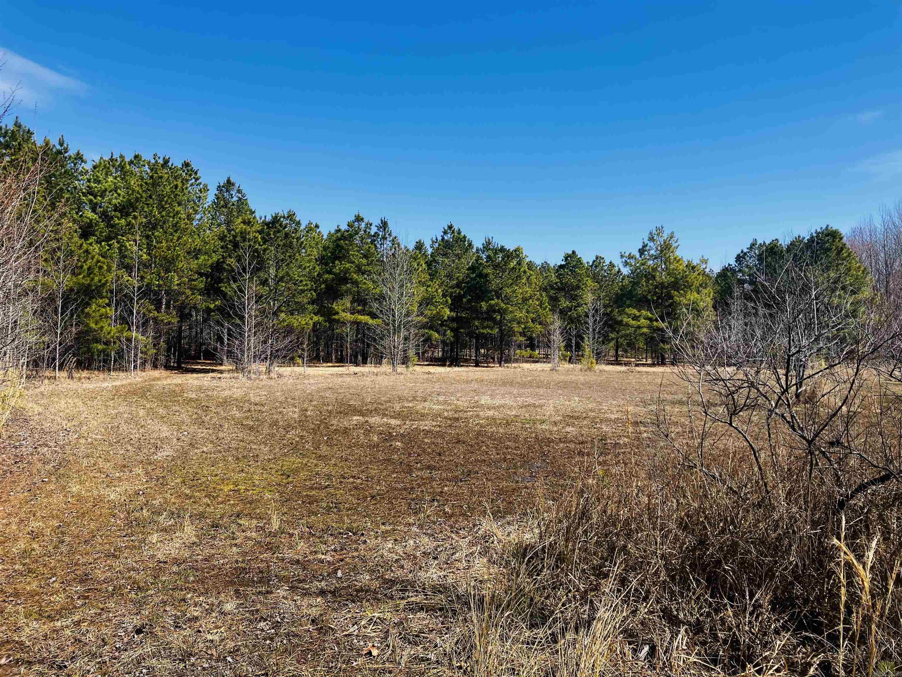816  WINROCK DRIVE  Morrilton, AR