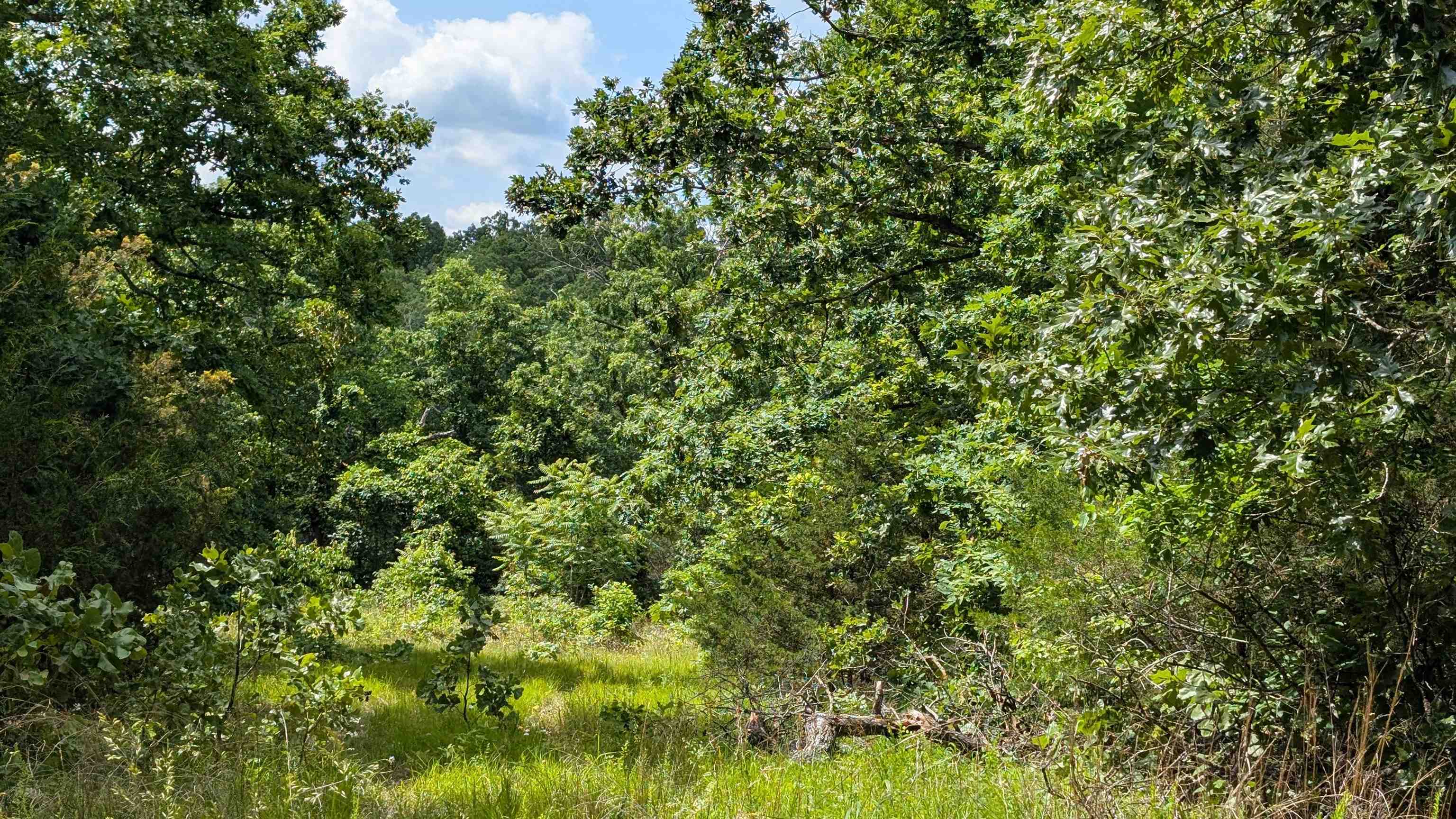 102  Basswood  Horseshoe Bend, AR