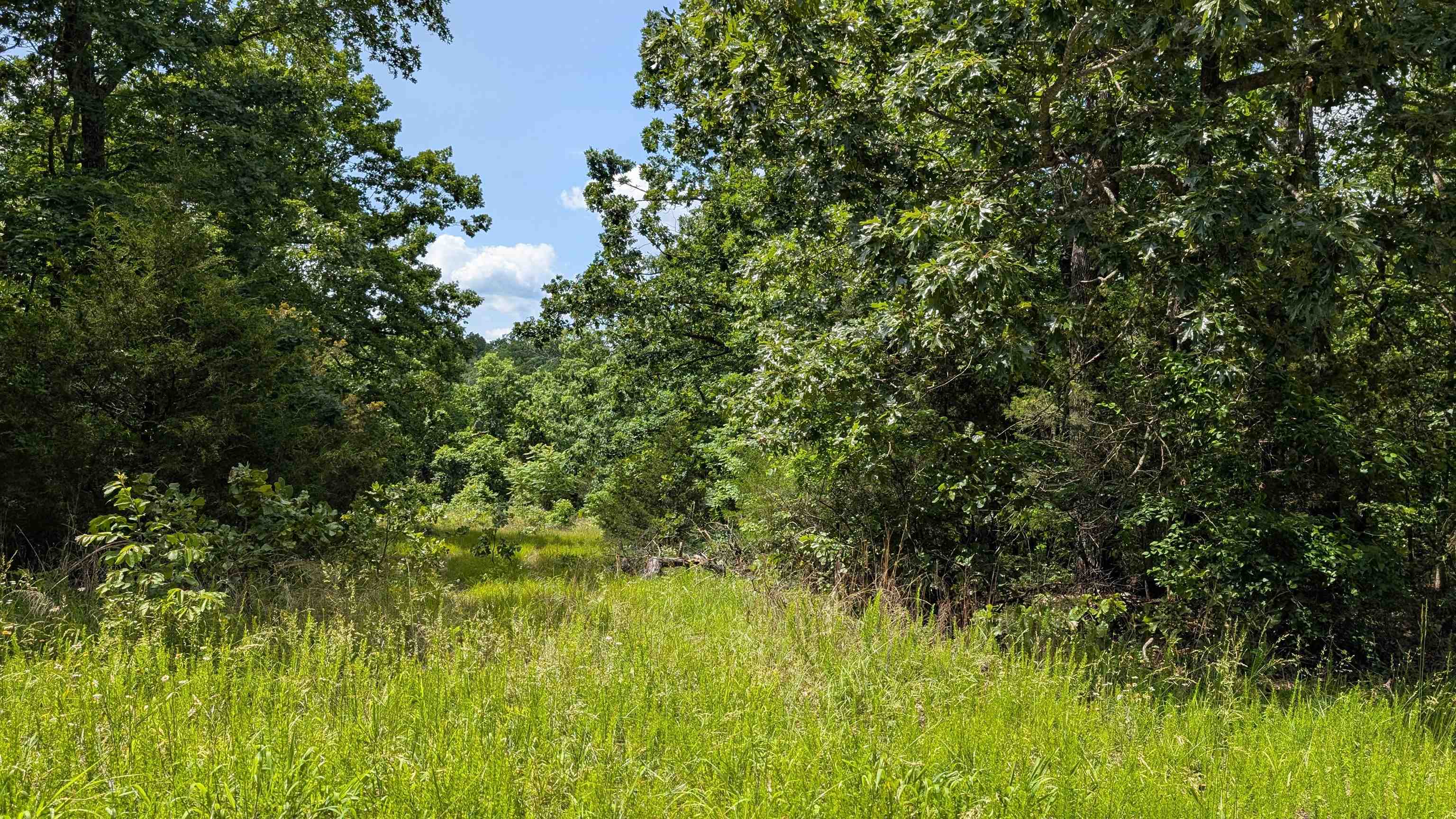 102  Basswood  Horseshoe Bend, AR