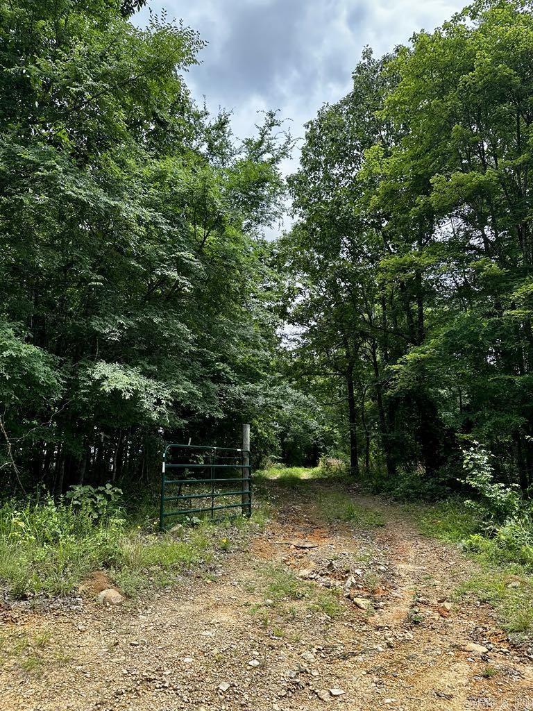 TBD  Dream Lane  Wickes, AR