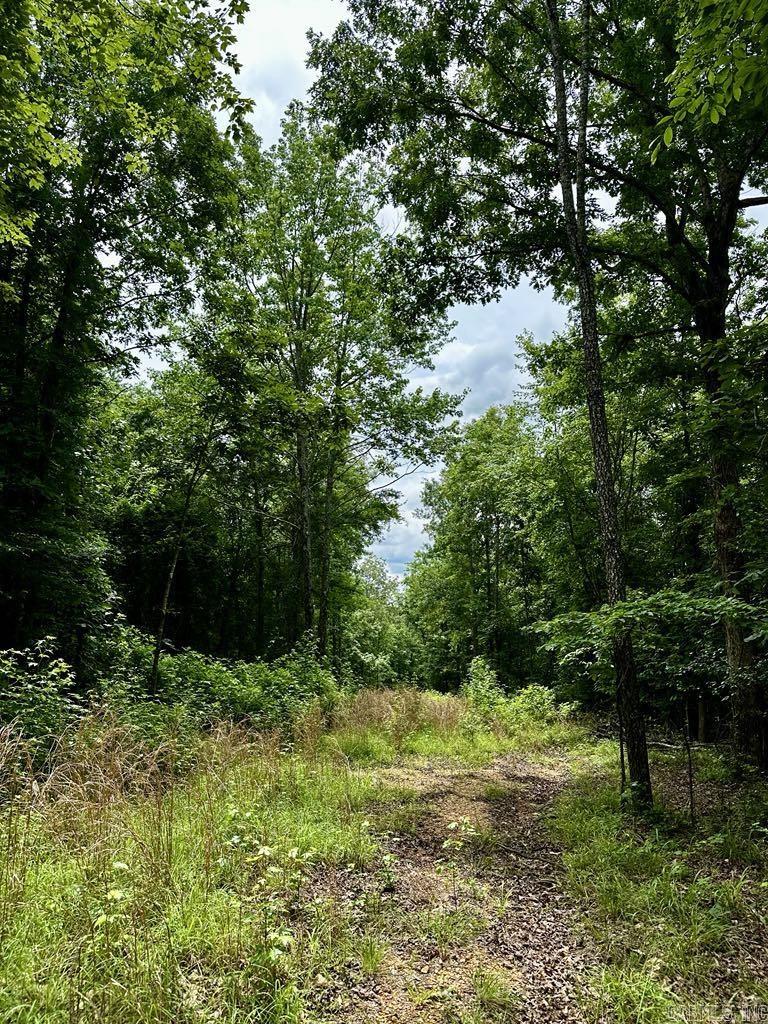 TBD  Dream Lane  Wickes, AR