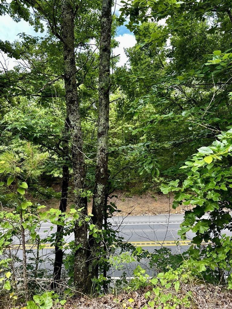 TBD  Dream Lane  Wickes, AR