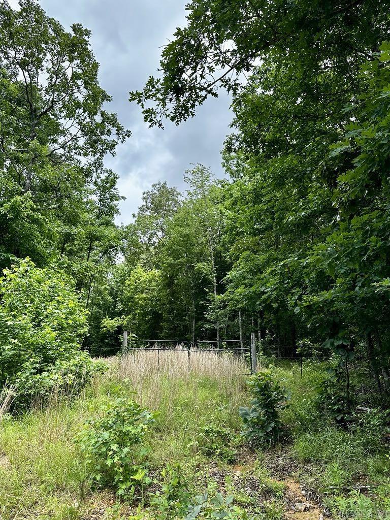 TBD  Dream Lane  Wickes, AR